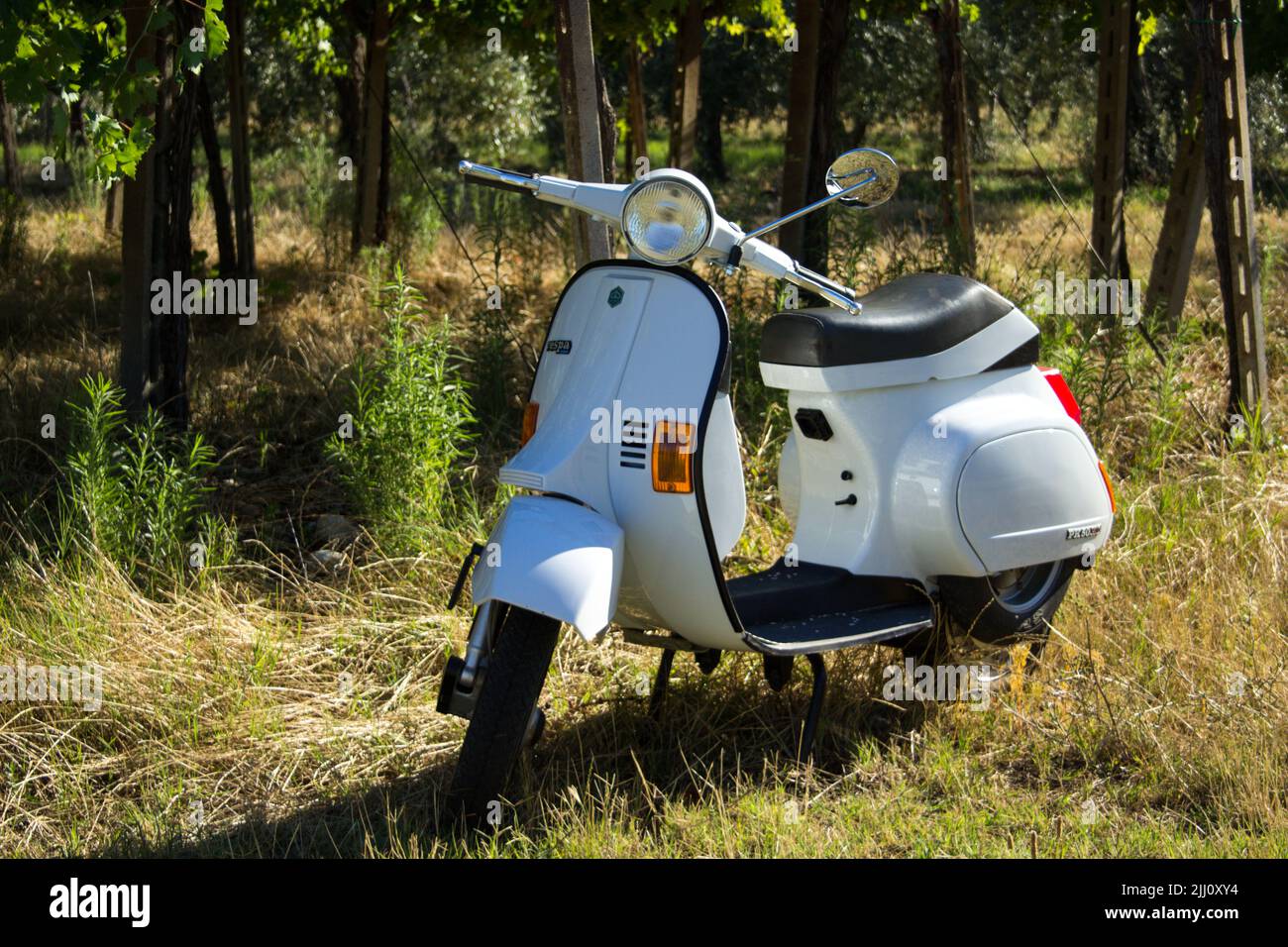 Photo of a Piaggio Vespa parked in a field with a vineyard in the background. Firenze Toscana Italy 05-06-2022 Stock Photo