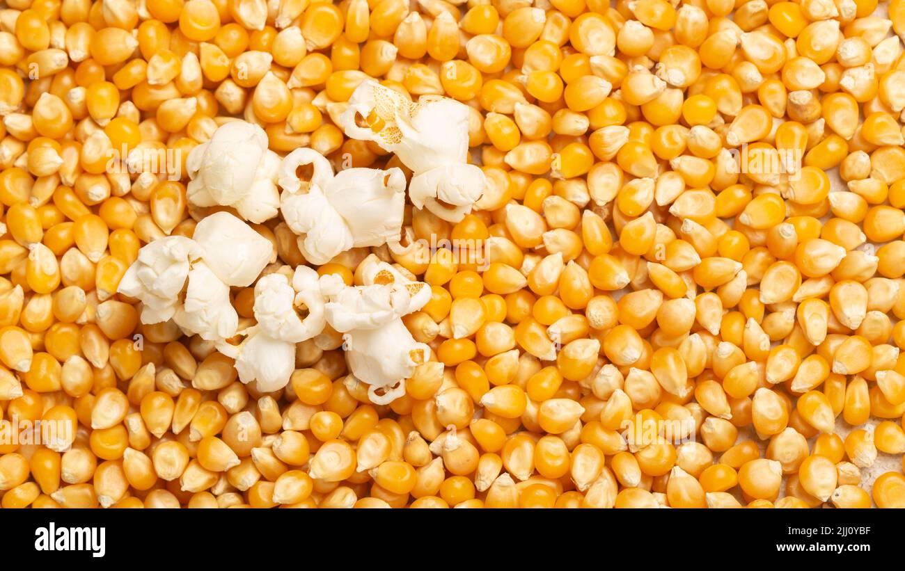 pile of corn kernels for popcorn, top view Stock Photo Alamy