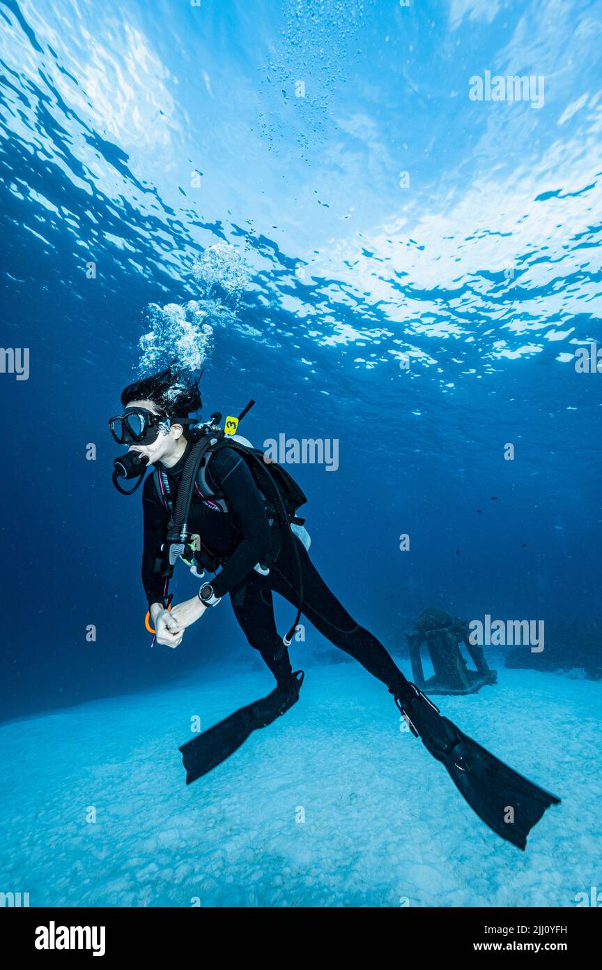 woman diving at the Andaman Sea / Thailand Stock Photo Alamy