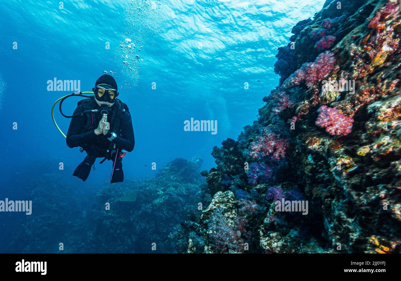 Woman scuba diving on hi-res stock photography and images - Alamy