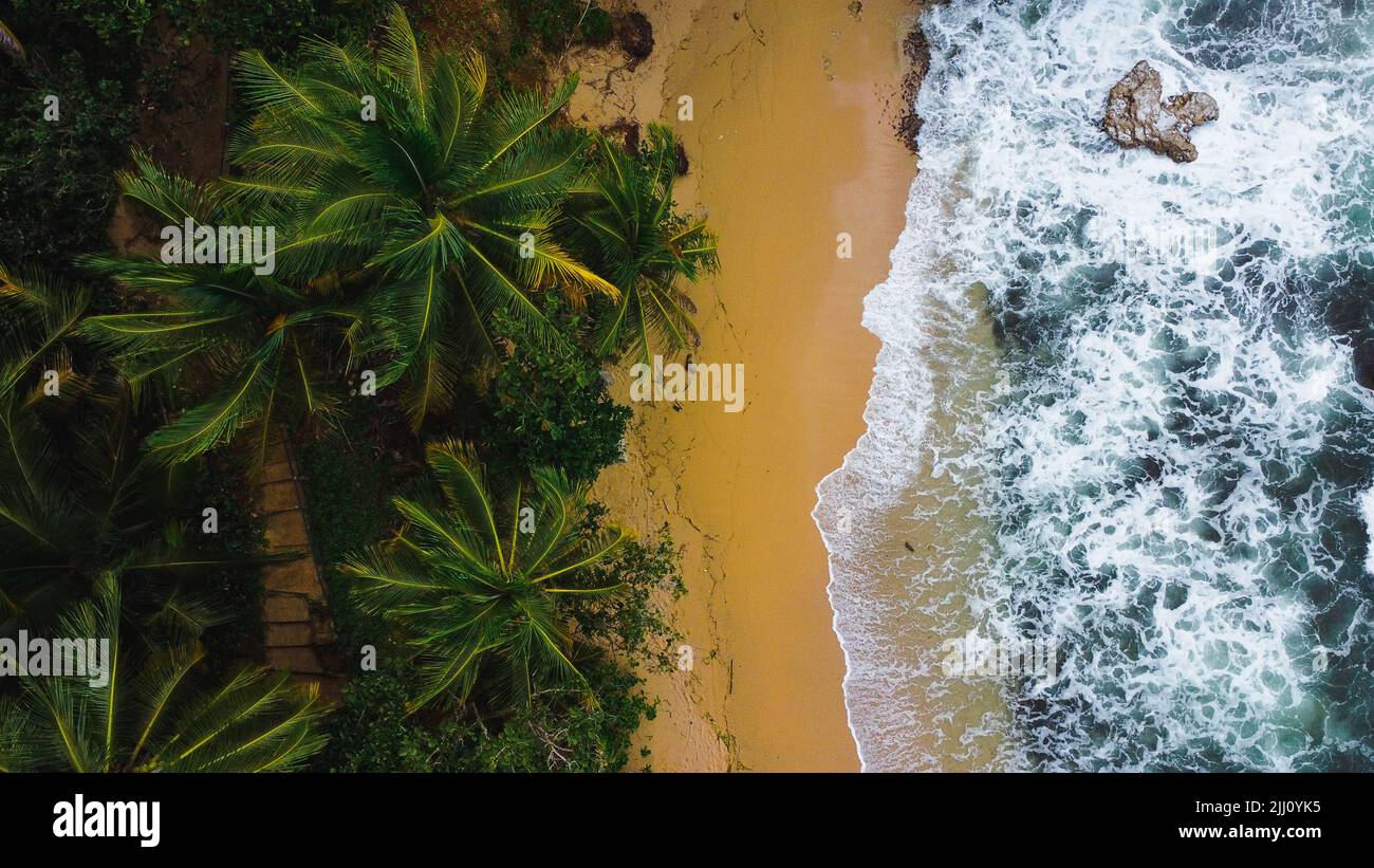 drone view of half beach half jungle of Costa Rica Stock Photo