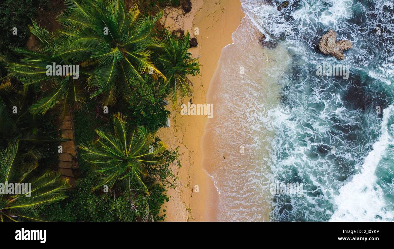 drone view of half beach half jungle of Costa Rica Stock Photo