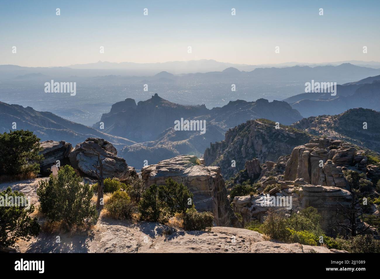 An overlooking view of nature in Tucson, Arizona Stock Photo