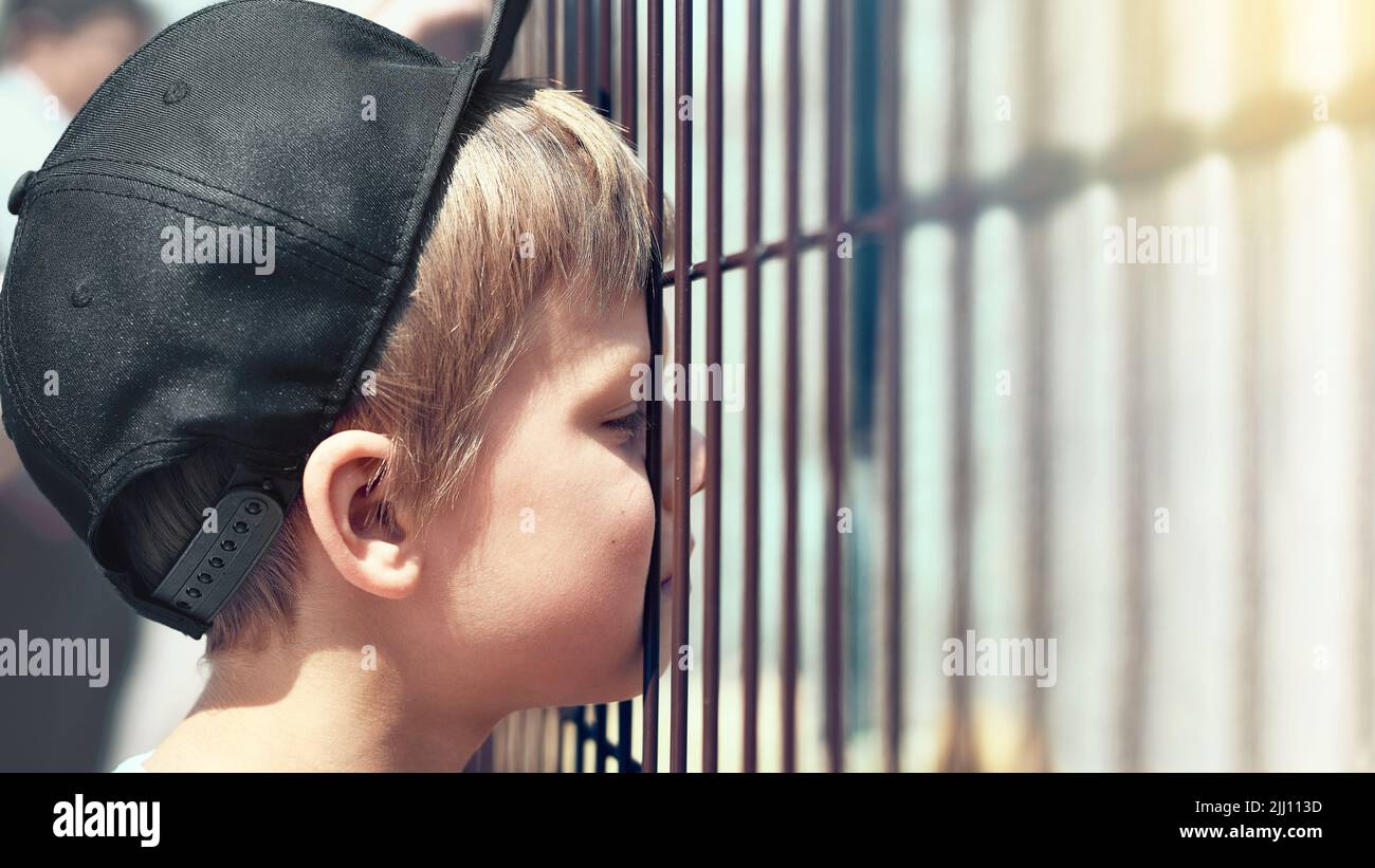 Schoolboy looks at animals in zoo putting nose between fence bars. Blond child in black cap on walk with parents on bright sunny day Stock Photo