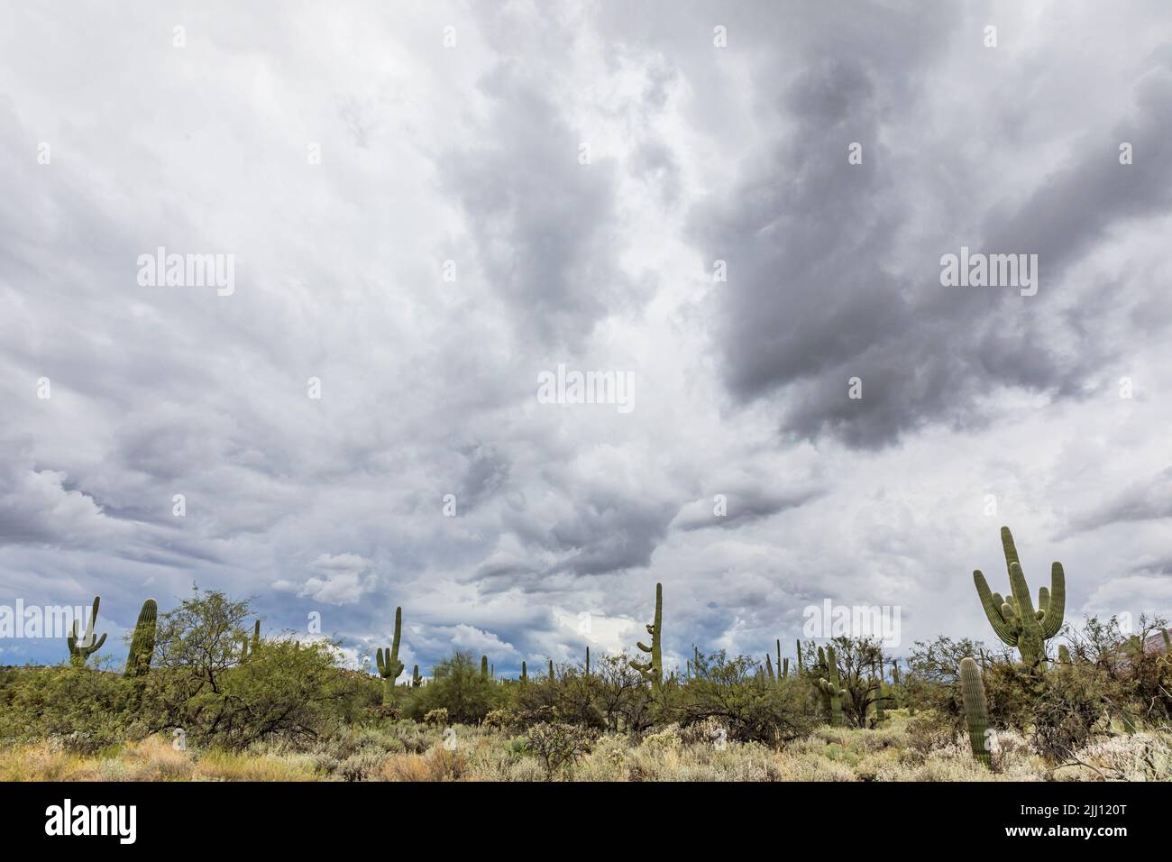Storm clouds over Sabino Canyon Recreation Area, Arizona. Stock Photo