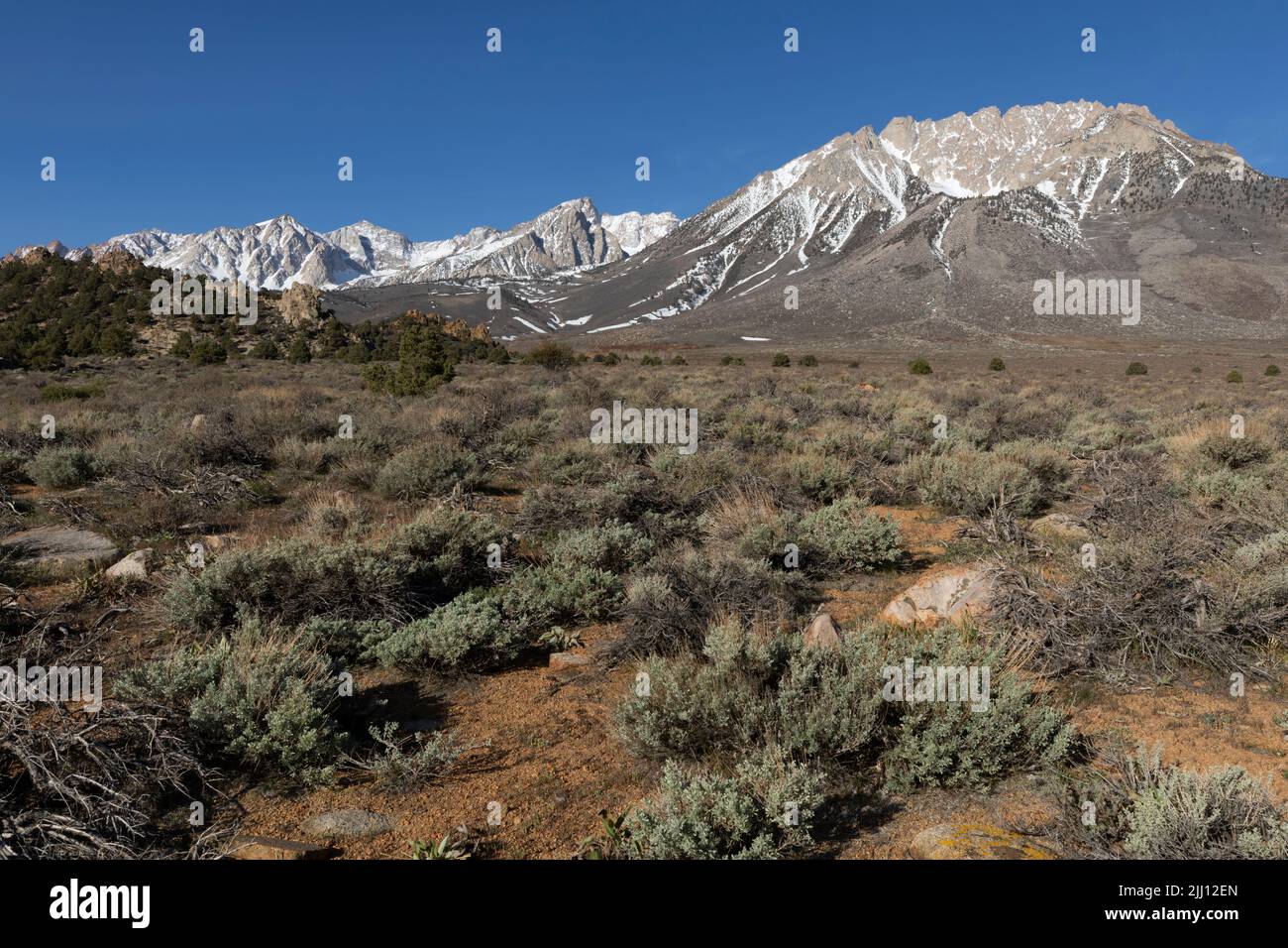 Eastern Sierra Mountains near Bishop, California. Basin Mountain, Mt. Humphreys Stock Photo