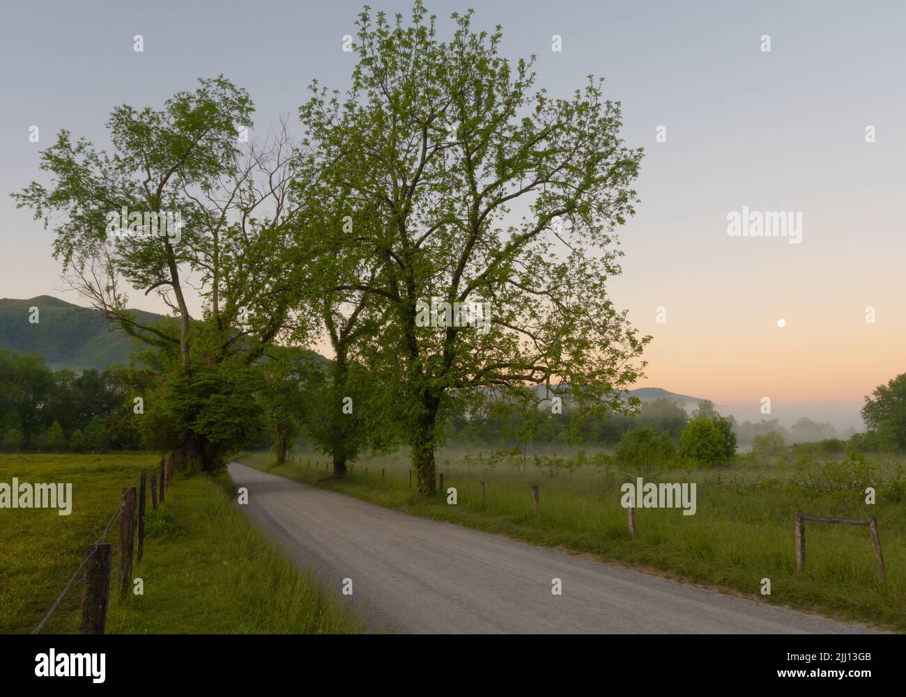 The empty Cades Cove road surrounded by fields and Great Smoky