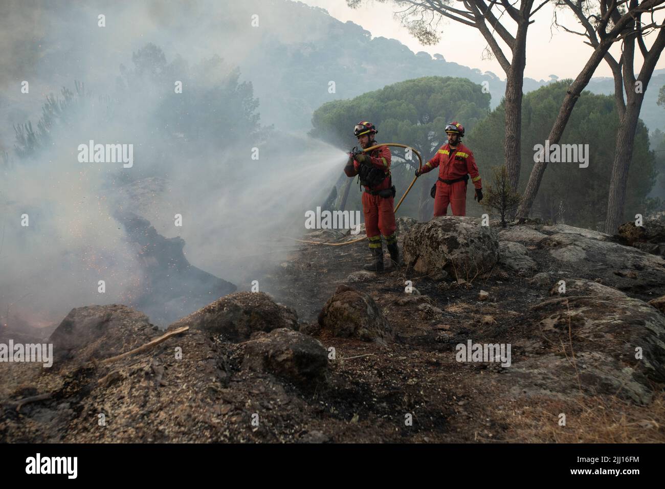 Spain Ávila Cebreros Wave of fires in Spain As a consequence of