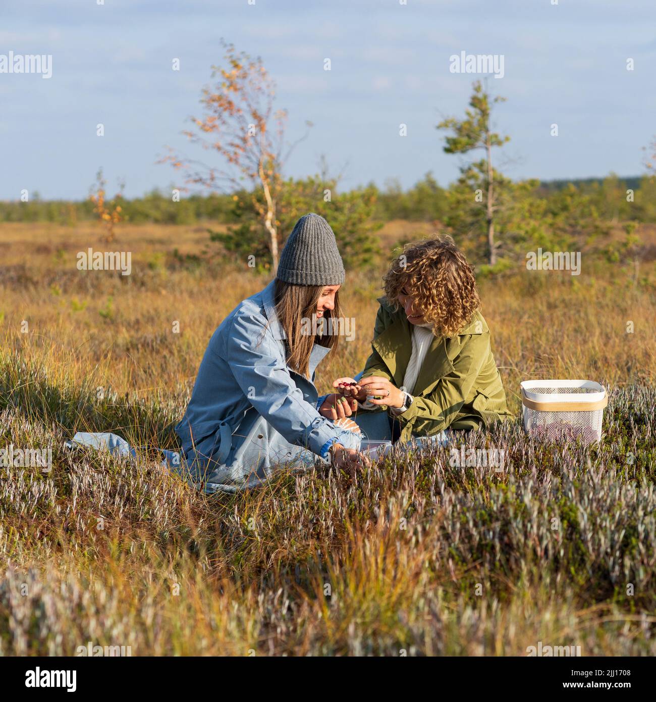 Seasonal berries. Two happy girlfriend on swamp collecting cranberries during picnic. Autumn leisure Stock Photo