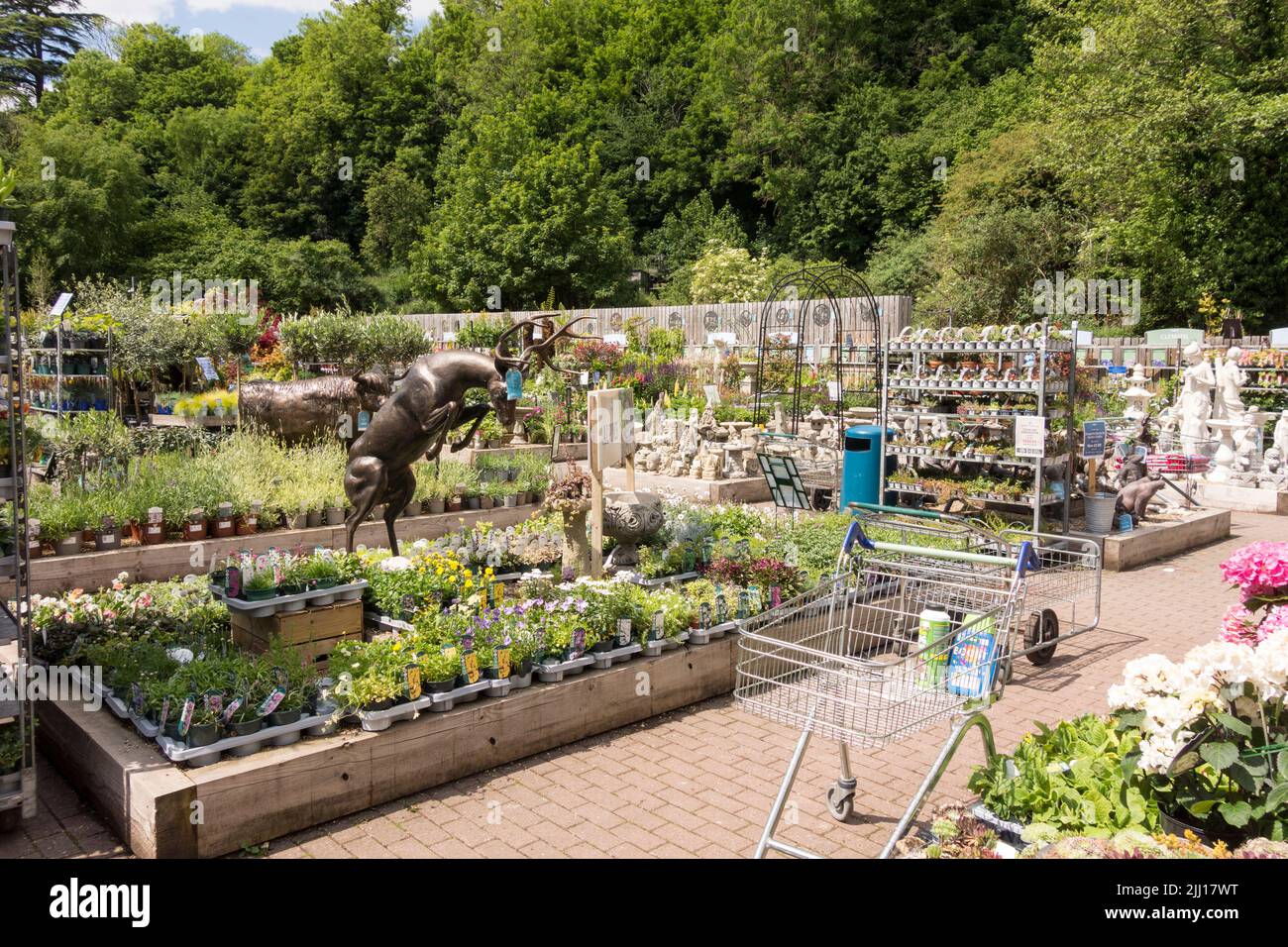 Nailsworth Garden Centre, Gloucestershire, UK Stock Photo Alamy