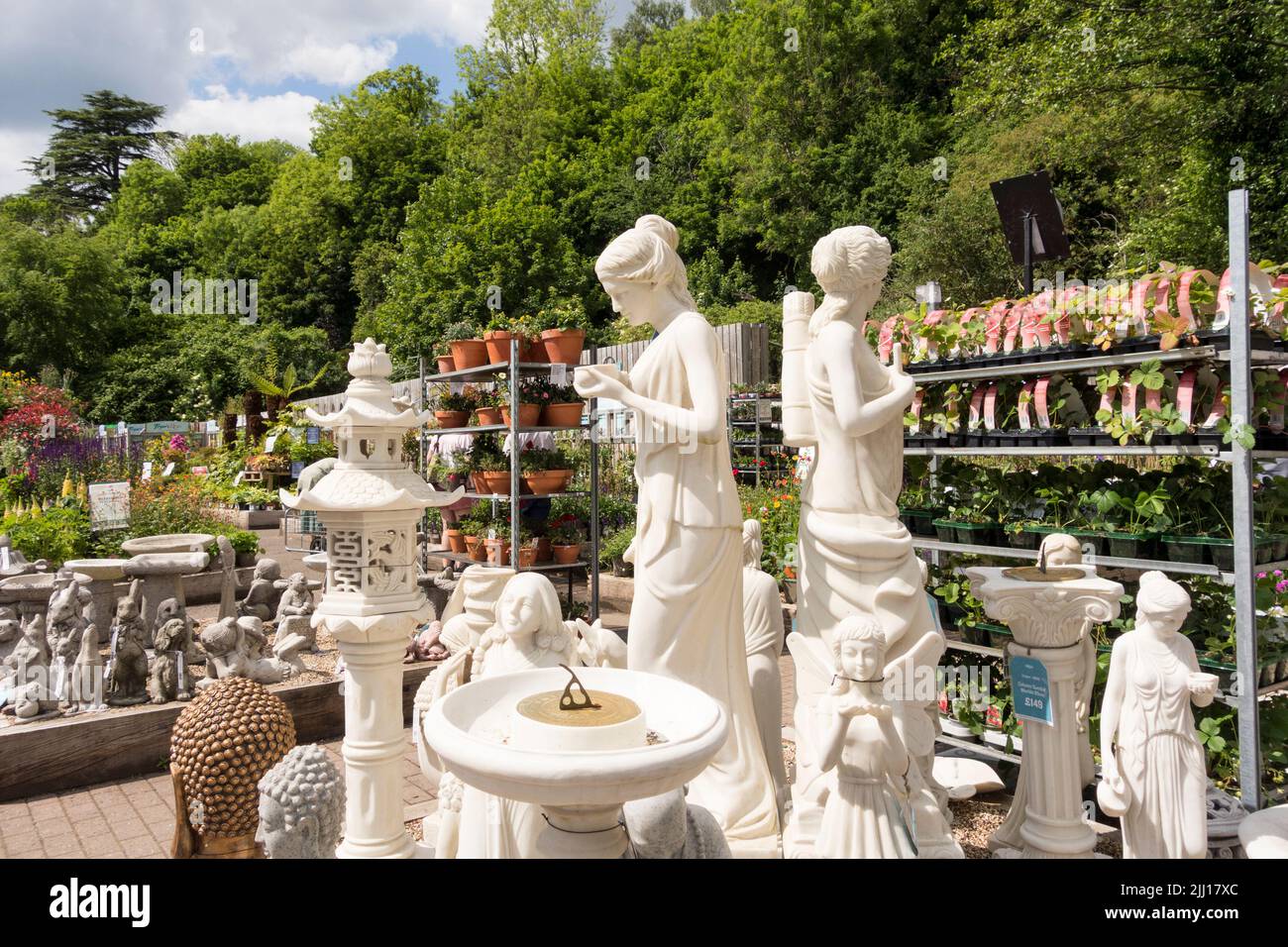 Nailsworth Garden Centre, Gloucestershire, UK Stock Photo