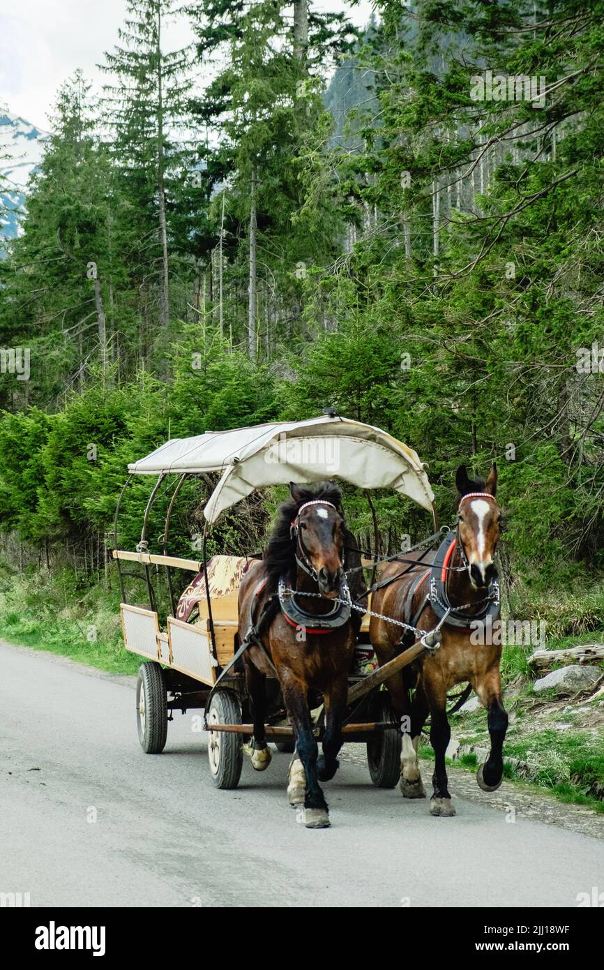 Horse carriage ride in tatra hi-res stock photography and images - Alamy