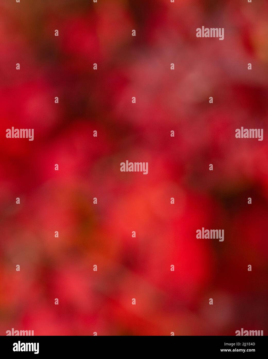 blurred unfocused red color bright background with nobody Stock Photo