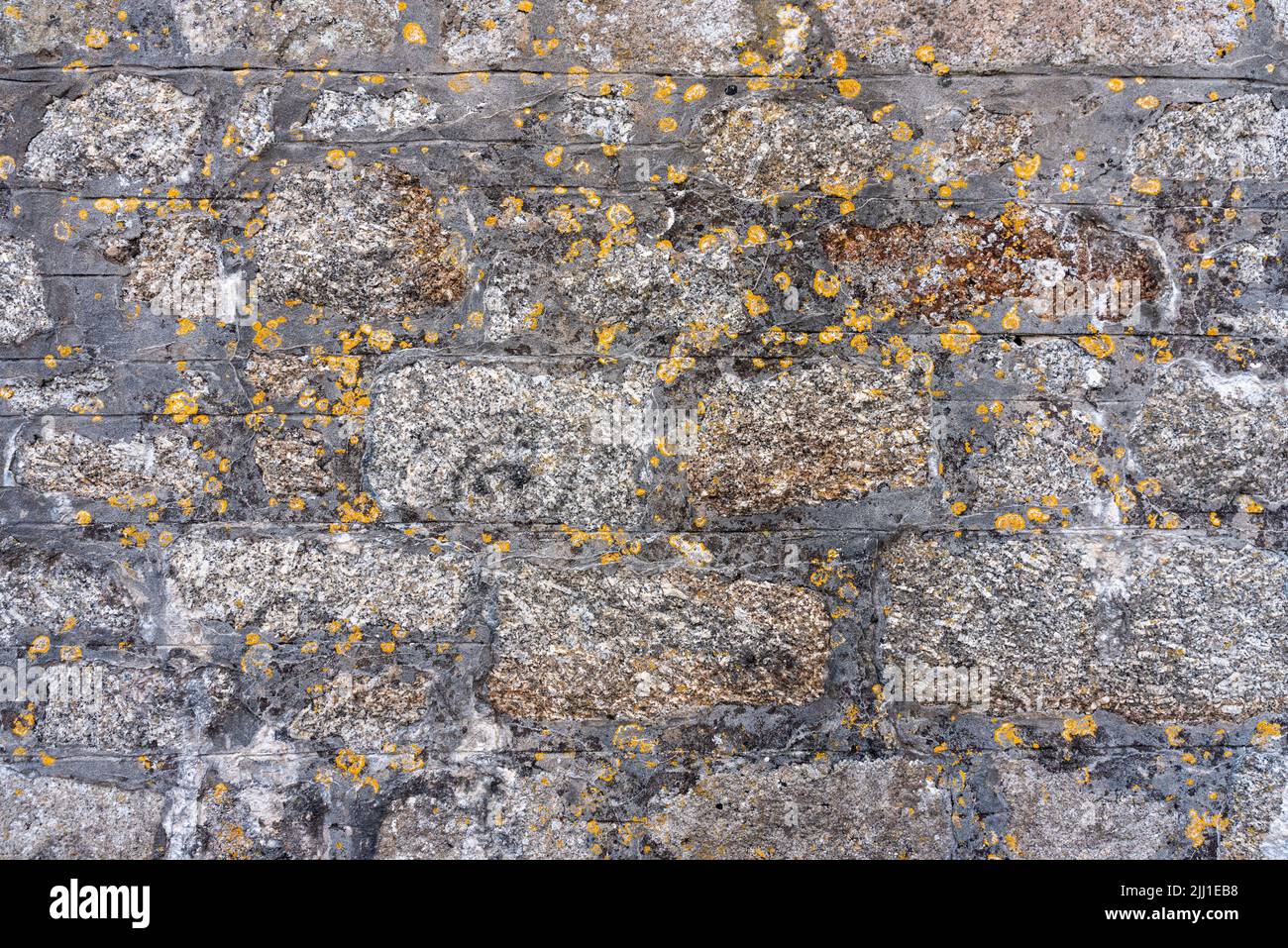 old stone wall with old yellow mold old texture Stock Photo