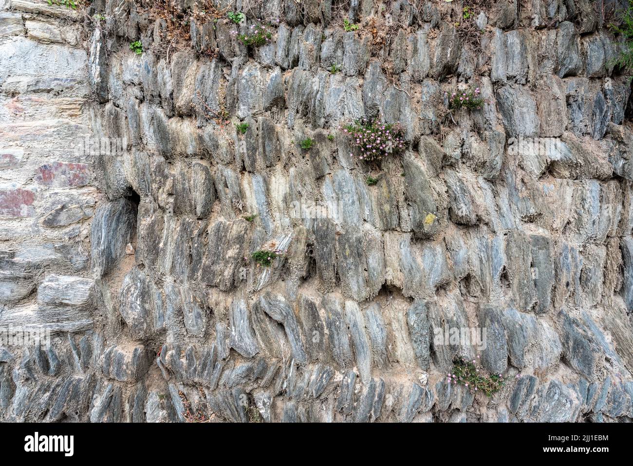 old stone wall bricks with flowers growing out of it , textures Stock ...