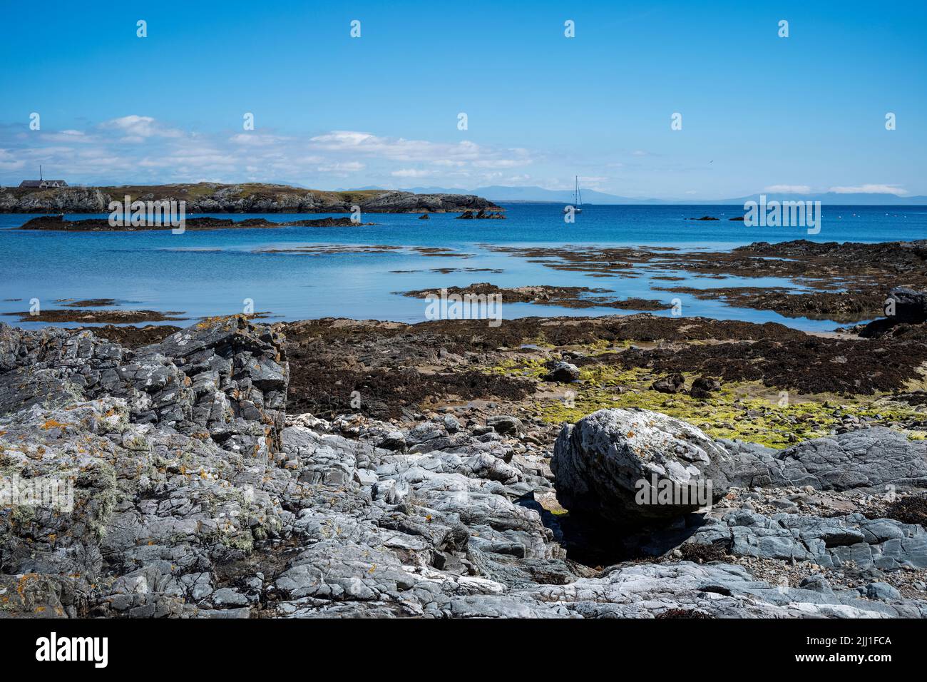 Part of the rocky coastline around the southern tip of Holy Island, Borthwen, Anglesey, Wales, UK Stock Photo