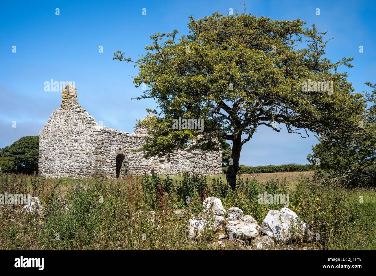 The remote remains of an early (Medieval) Celtic church at Lligwy, Moelfre, Anglesey, Wales, UK Stock Photo
