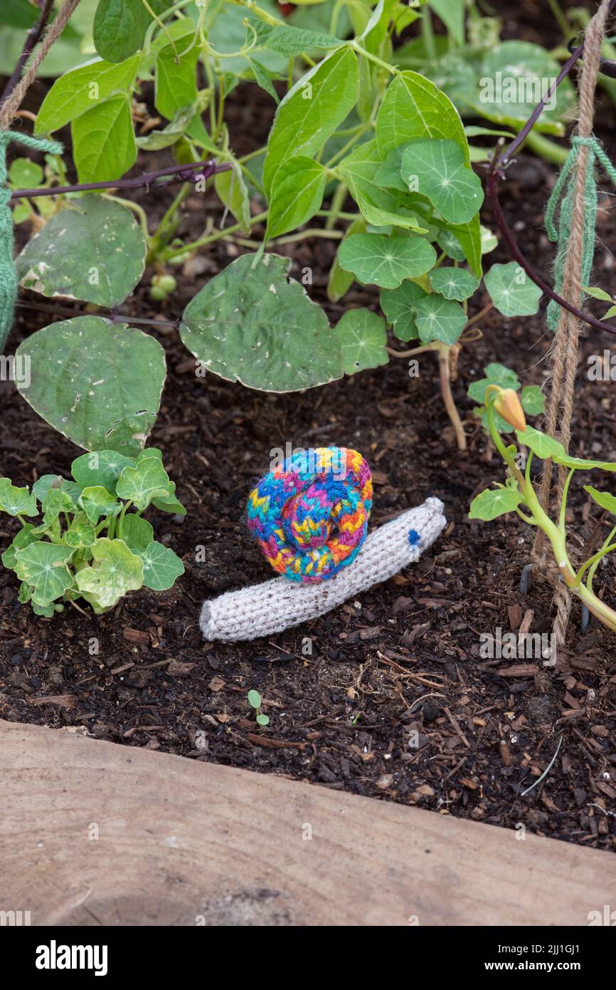 Walton Charity Community Allotment yarn bomb display at RHS Hampton Court Palace Flower show 2022. Colourful knitted snail amongst the allotment Stock Photo