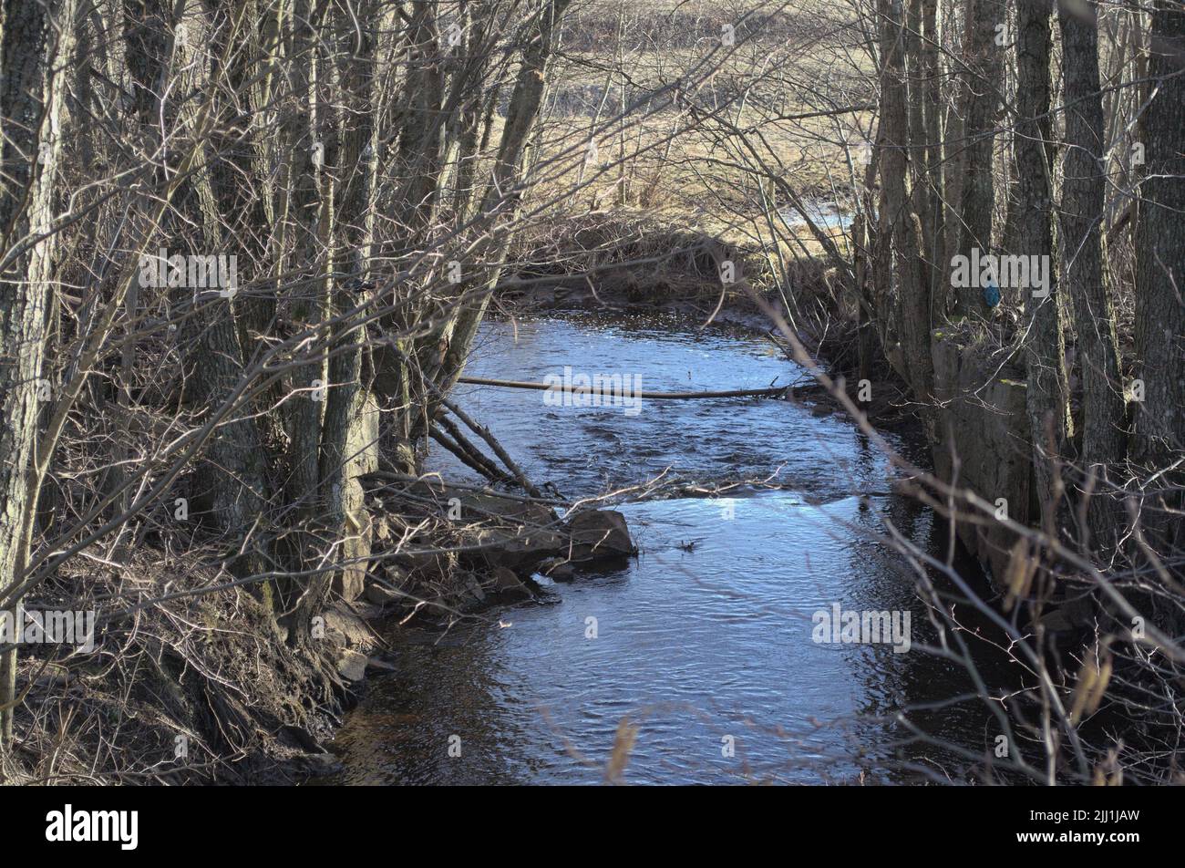 A stream of water in Sweden inland Stock Photo