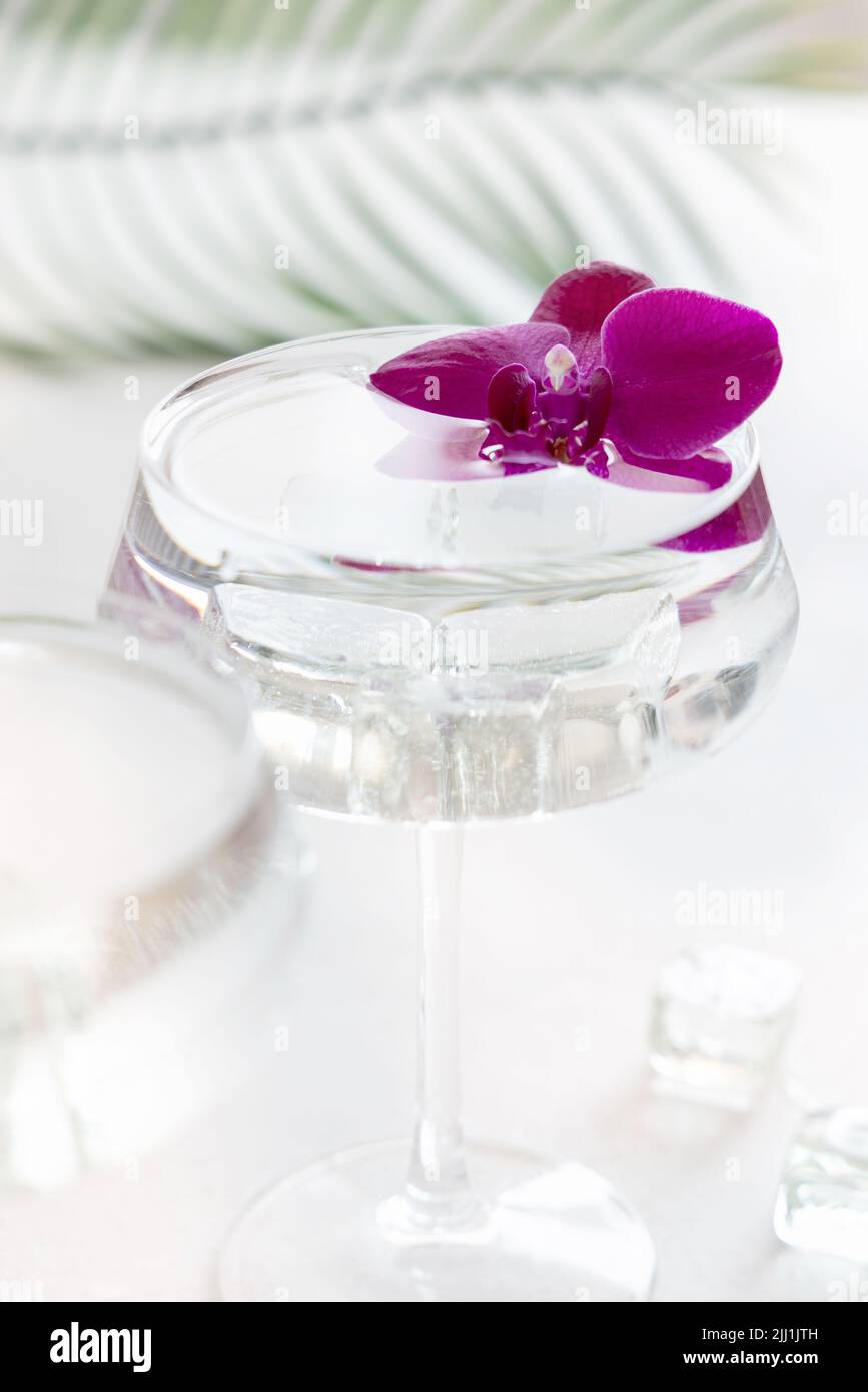 Transparent cocktail with ice in a champagne coupe glass decorated with ...