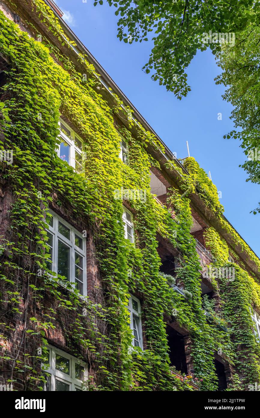 apartment building with green facade Stock Photo