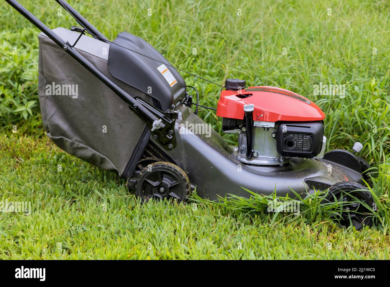 This is a garden care work tool in a working lawn mower on a green lawn with grass being cut Stock Photo