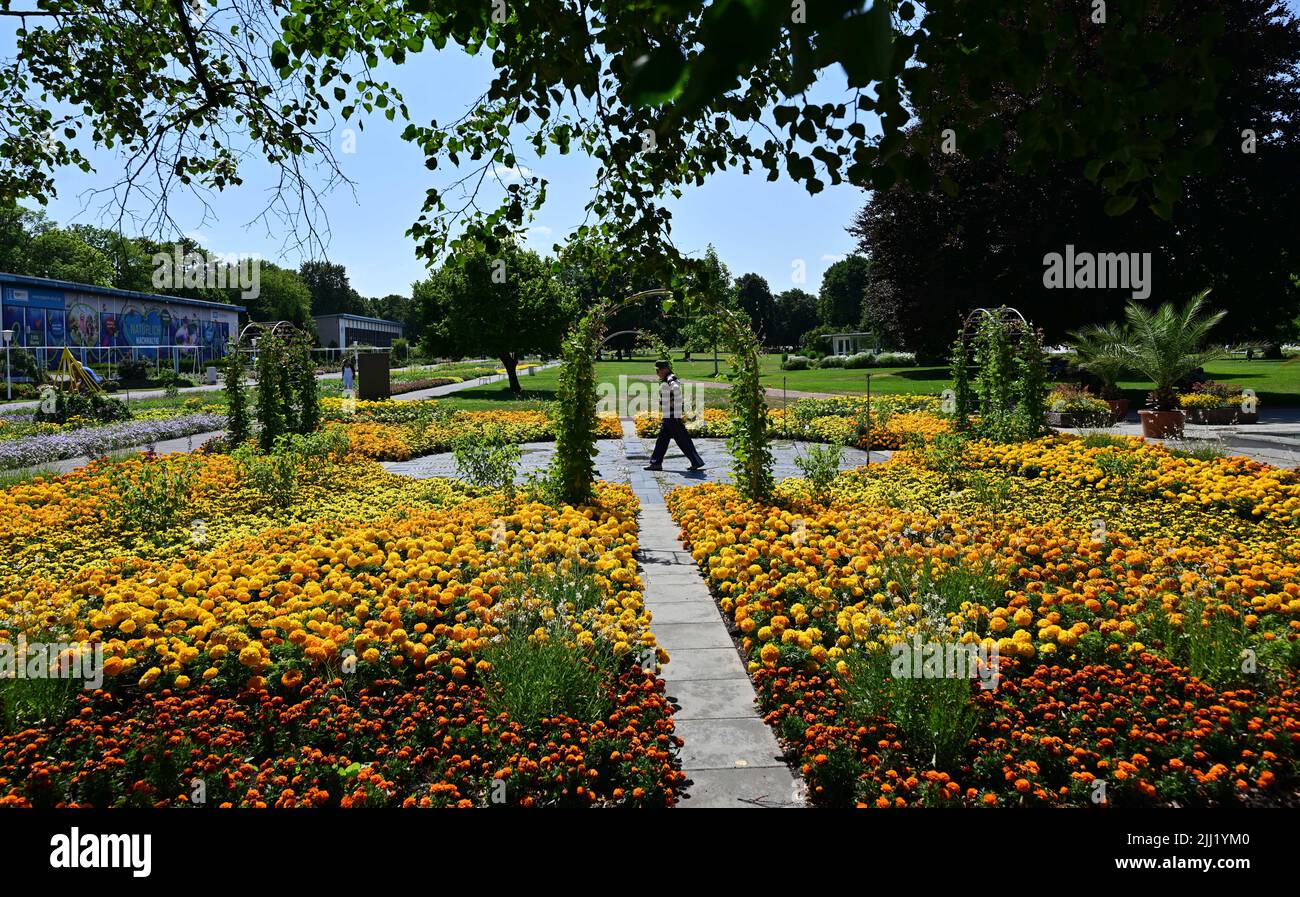 Erfurt, Germany. 22nd July, 2022. Flowers bloom in egapark. After the