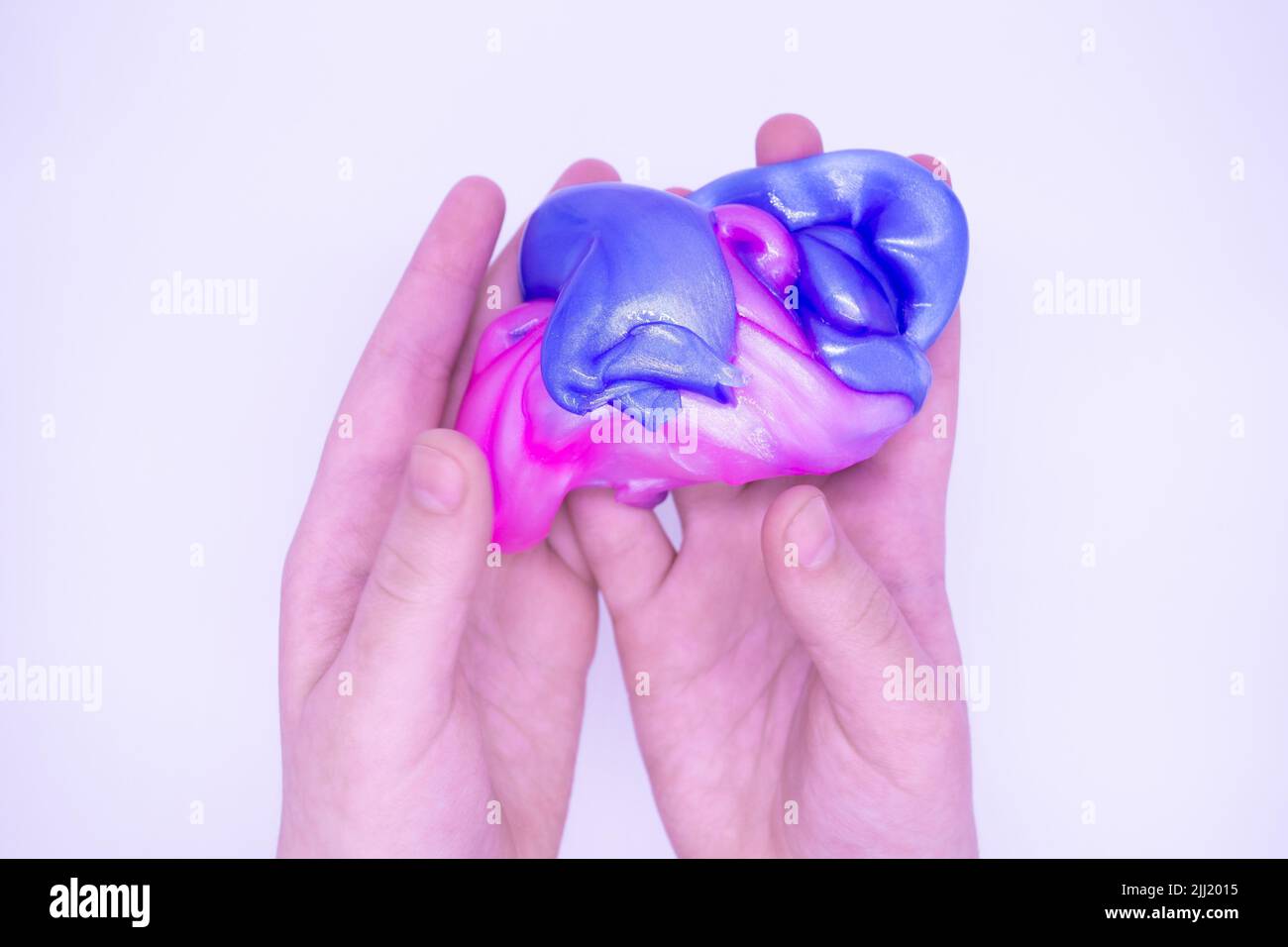 Two-color blue and pink slime in someone hands on a white background. The mucus is crushed, stretched, torn and squeezed. Stock Photo
