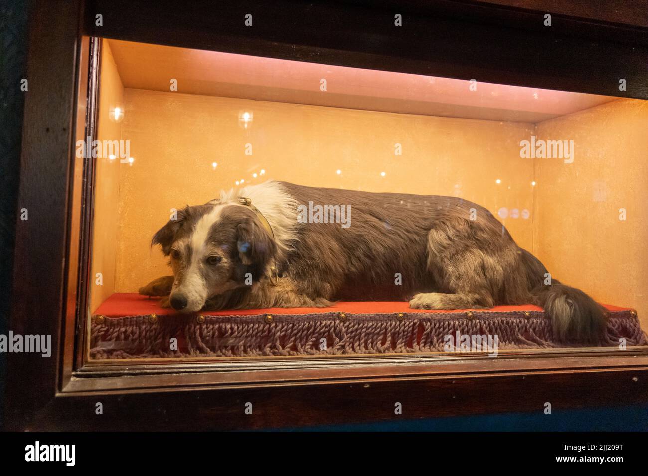 Dead dog stuffed animal discount