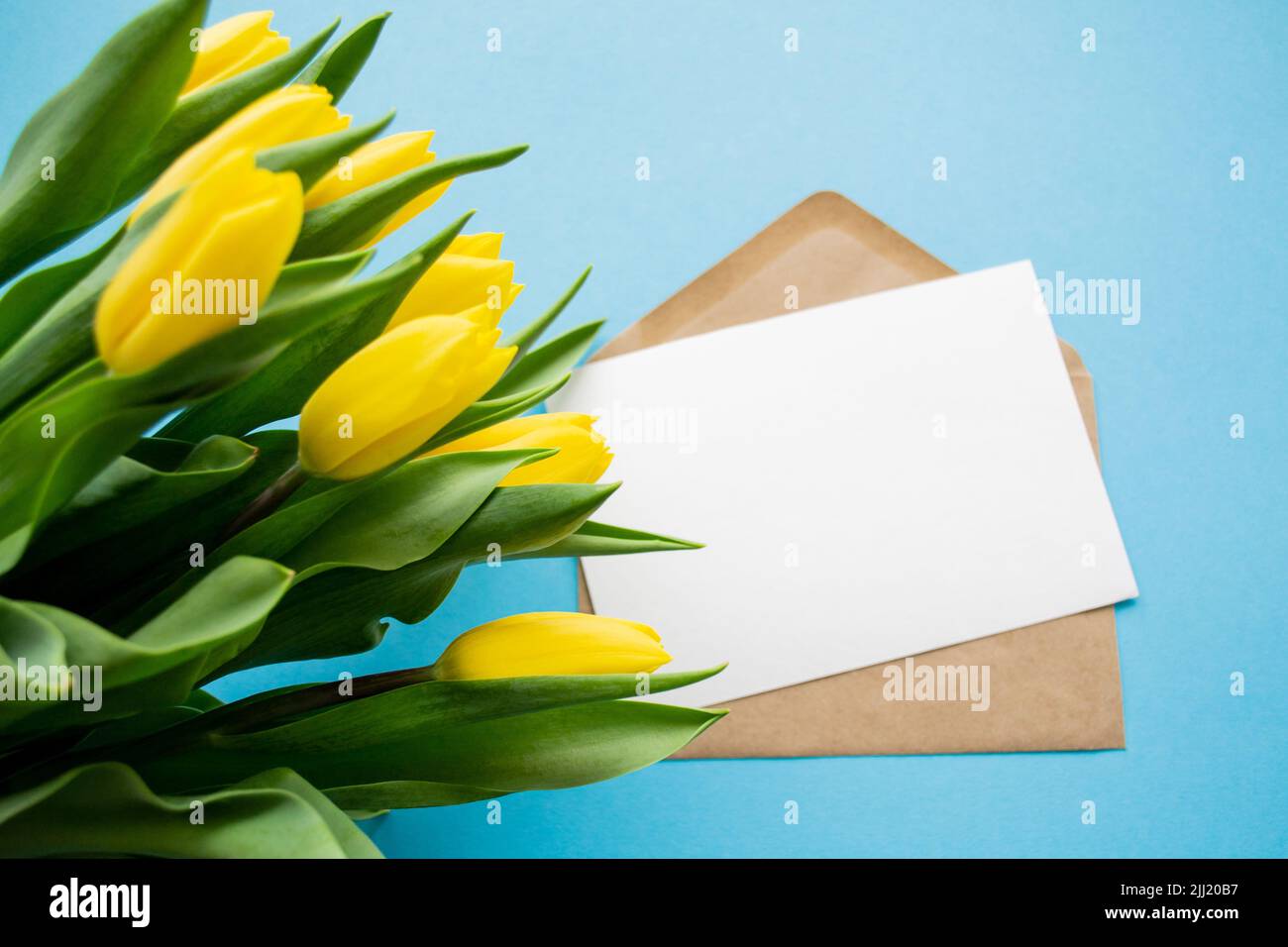 A craft envelope and a white paper on a blue background with bouquet of yellow tulips. The concept of the spring holidays: Easter, birthday. Women's D Stock Photo