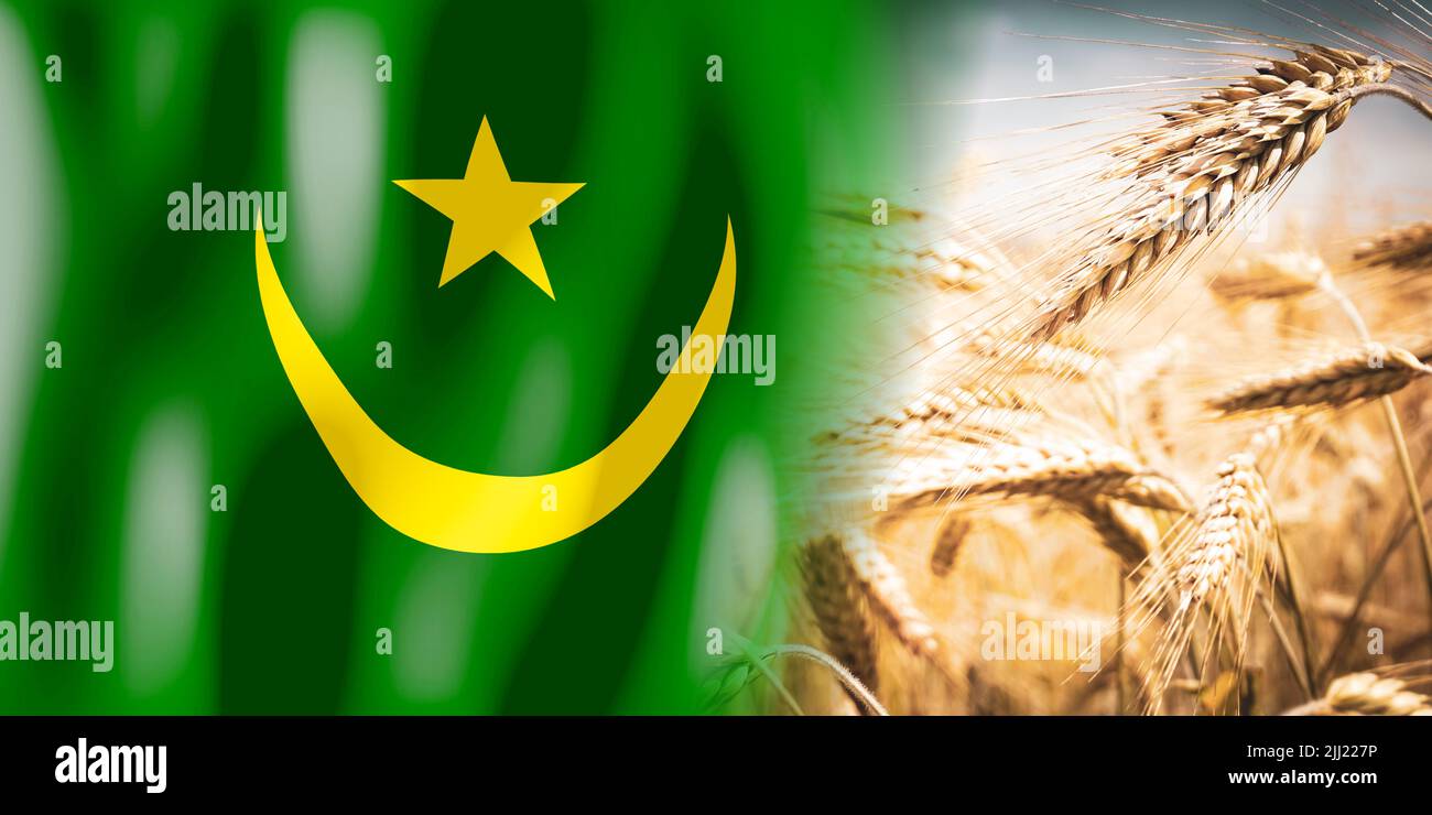 Mauritania flag and ripe rye field crops, cereal, harvest concept