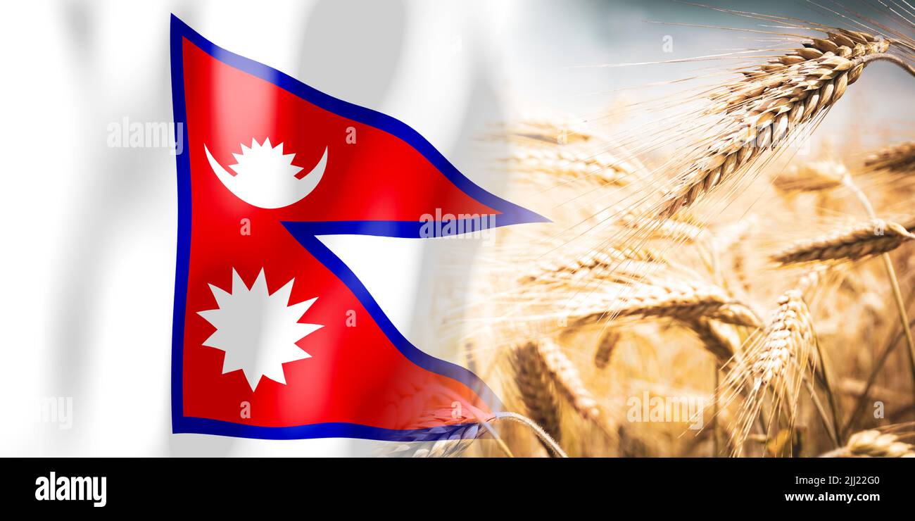 Nepal flag and ripe rye field crops, cereal, harvest concept Stock