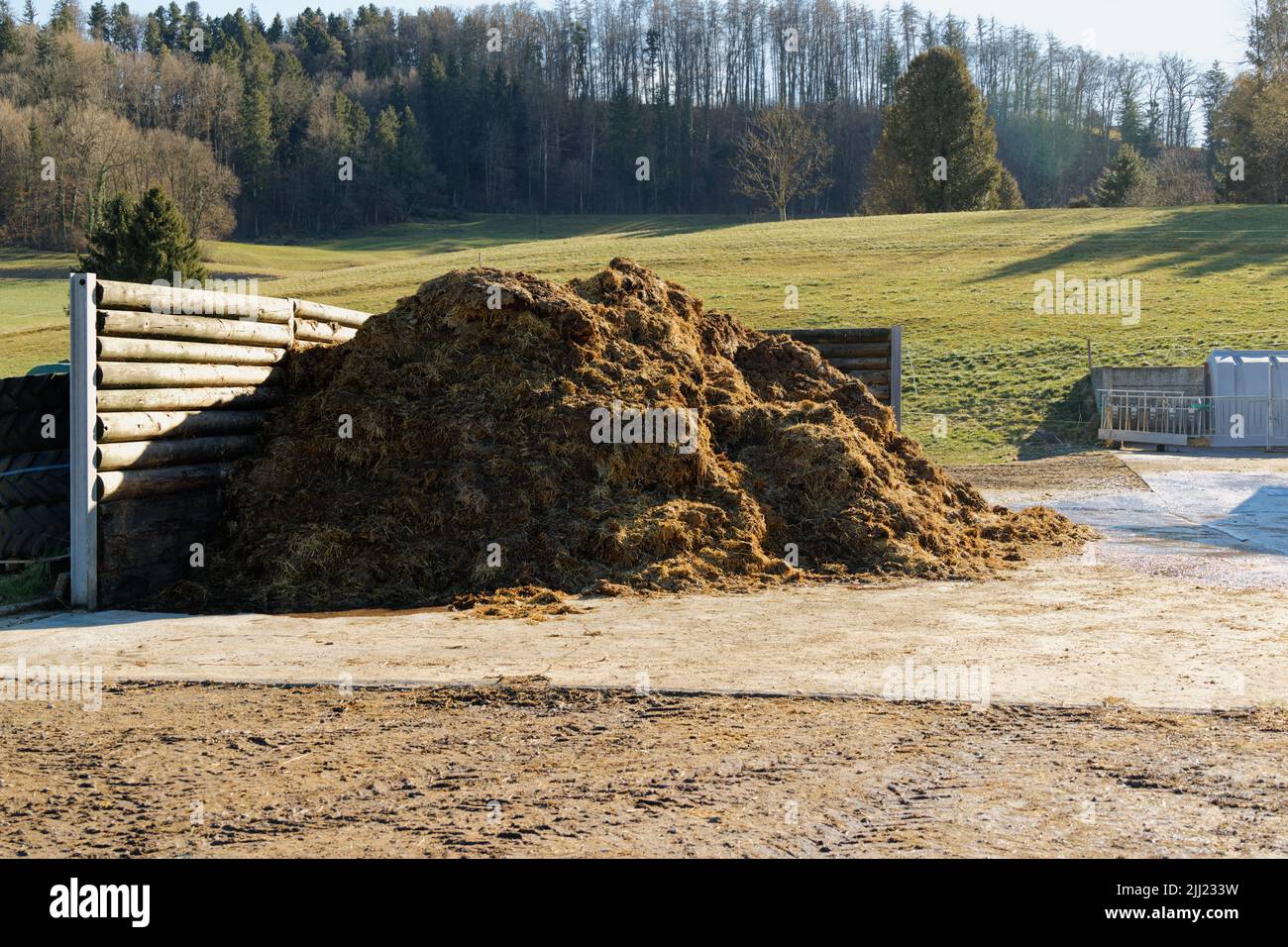 large-golden-brown-pile-of-manure-in-late-summer-on-a-farm-fertilizers