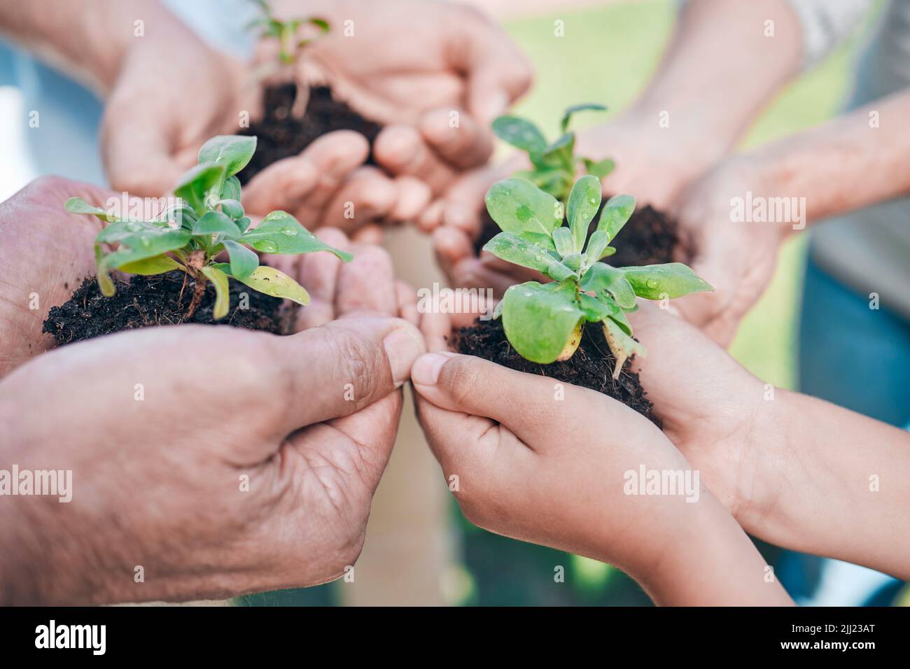 Earth warriors. a group of unrecognizable people holding plants growing out of soil. Stock Photo