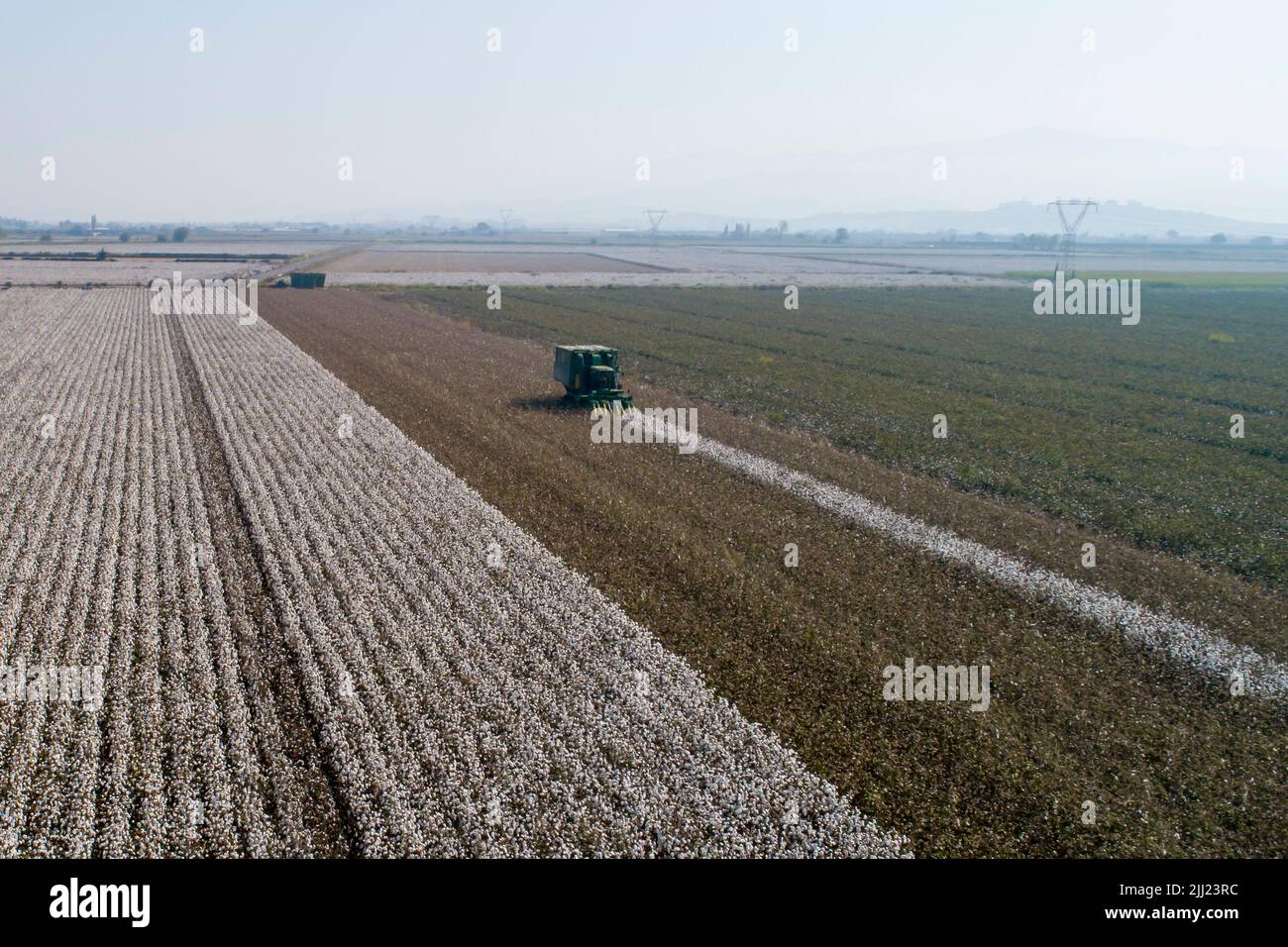 Aerial view of a large cotton field harvest Stock Photo