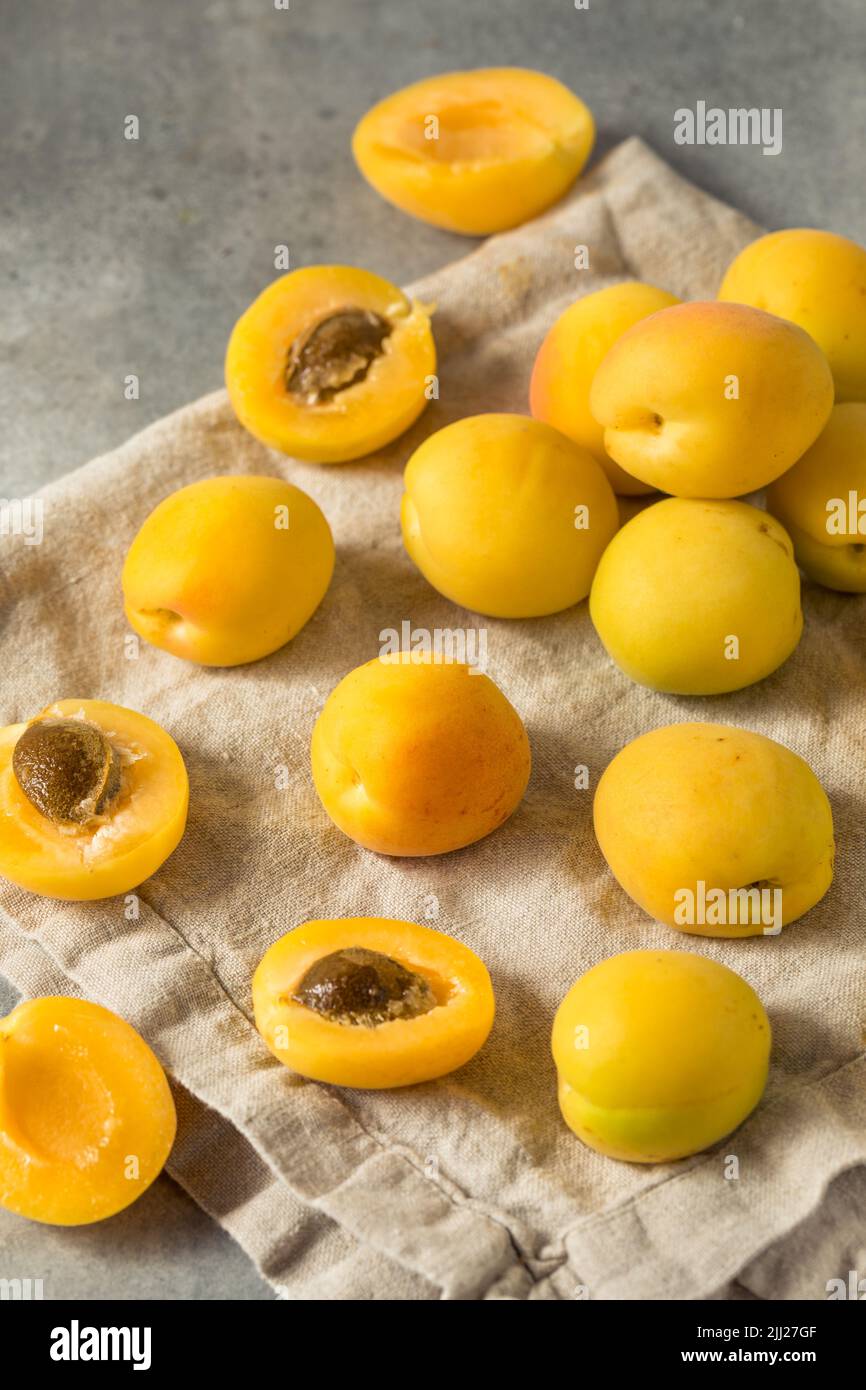 Healthy Organic White Apricot Angelcots Ready to Eat Stock Photo - Alamy