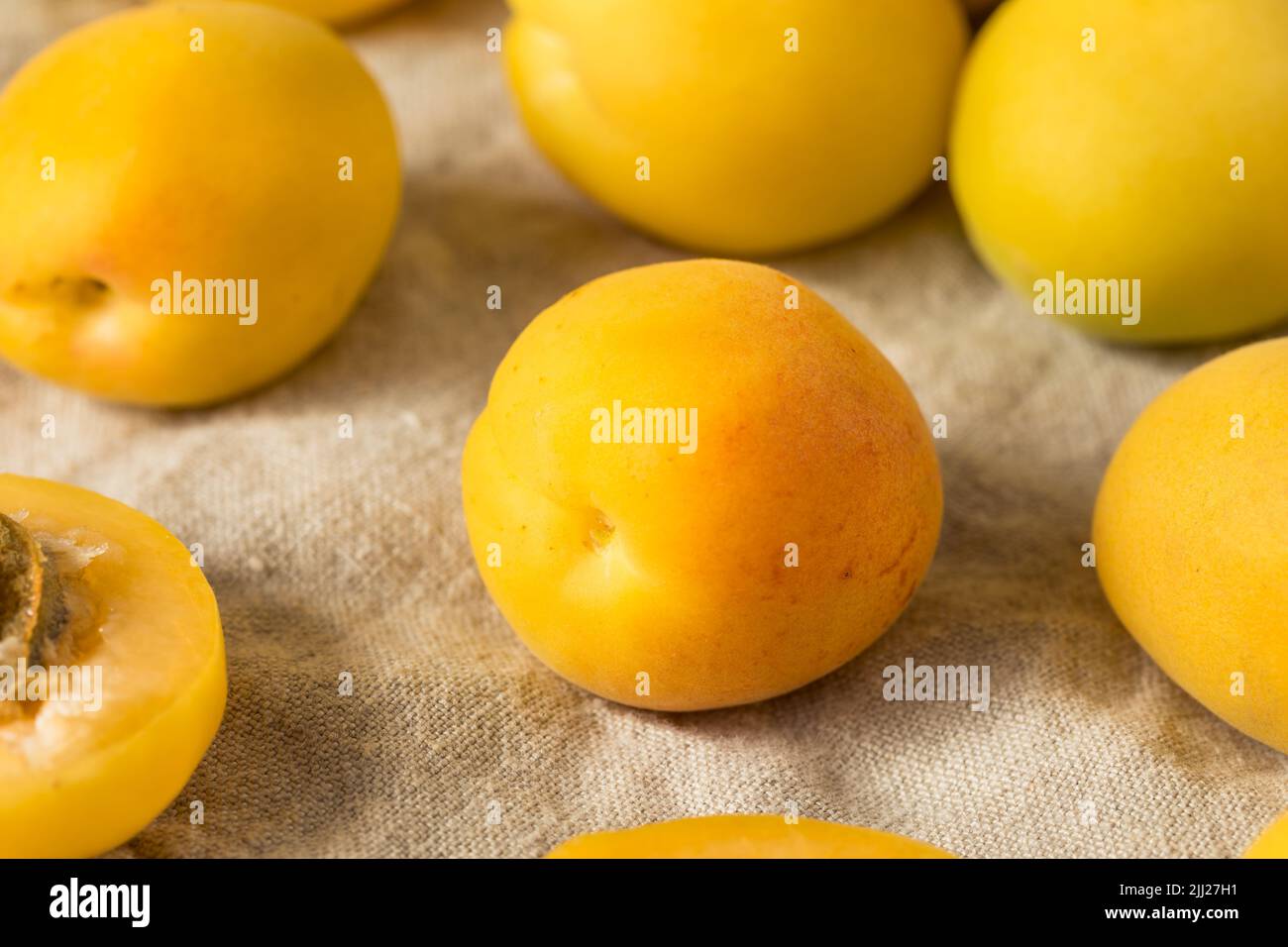 Healthy Organic White Apricot Angelcots Ready to Eat Stock Photo - Alamy