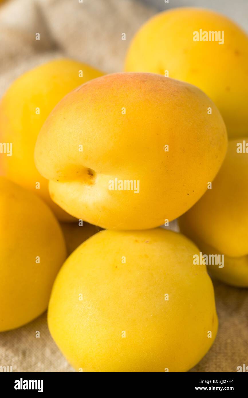 Healthy Organic White Apricot Angelcots Ready to Eat Stock Photo - Alamy