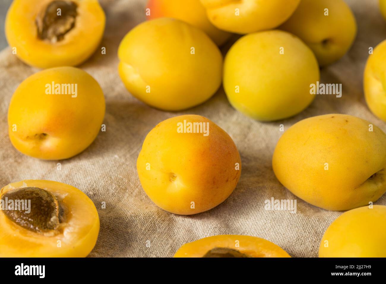 Healthy Organic White Apricot Angelcots Ready to Eat Stock Photo - Alamy