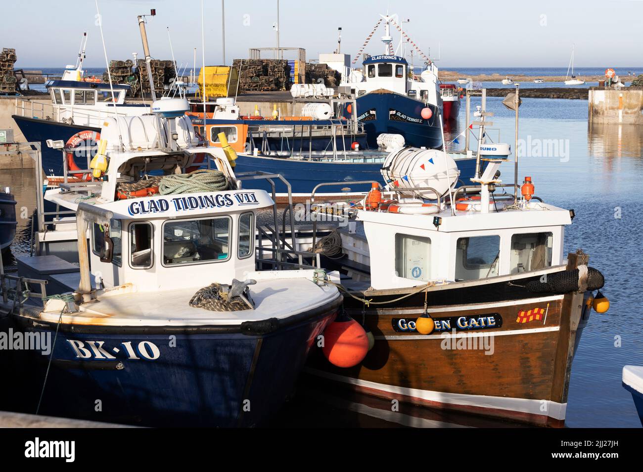 Evening sunlight on the day trip excursion boats moored in the harbour at Seahouses, Northumberland, England Stock Photo
