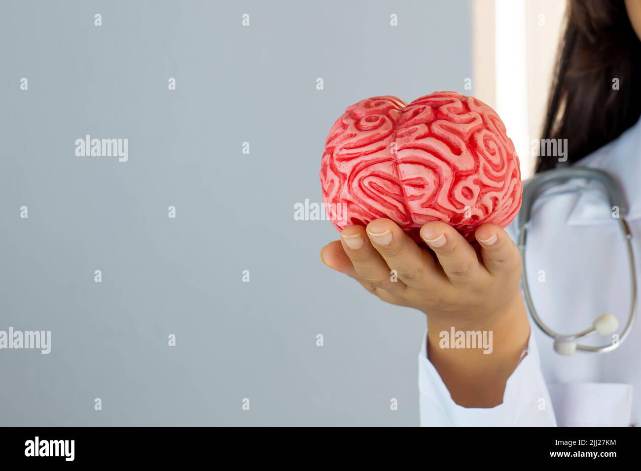 Doctor Holding Human Brain, health concept Stock Photo