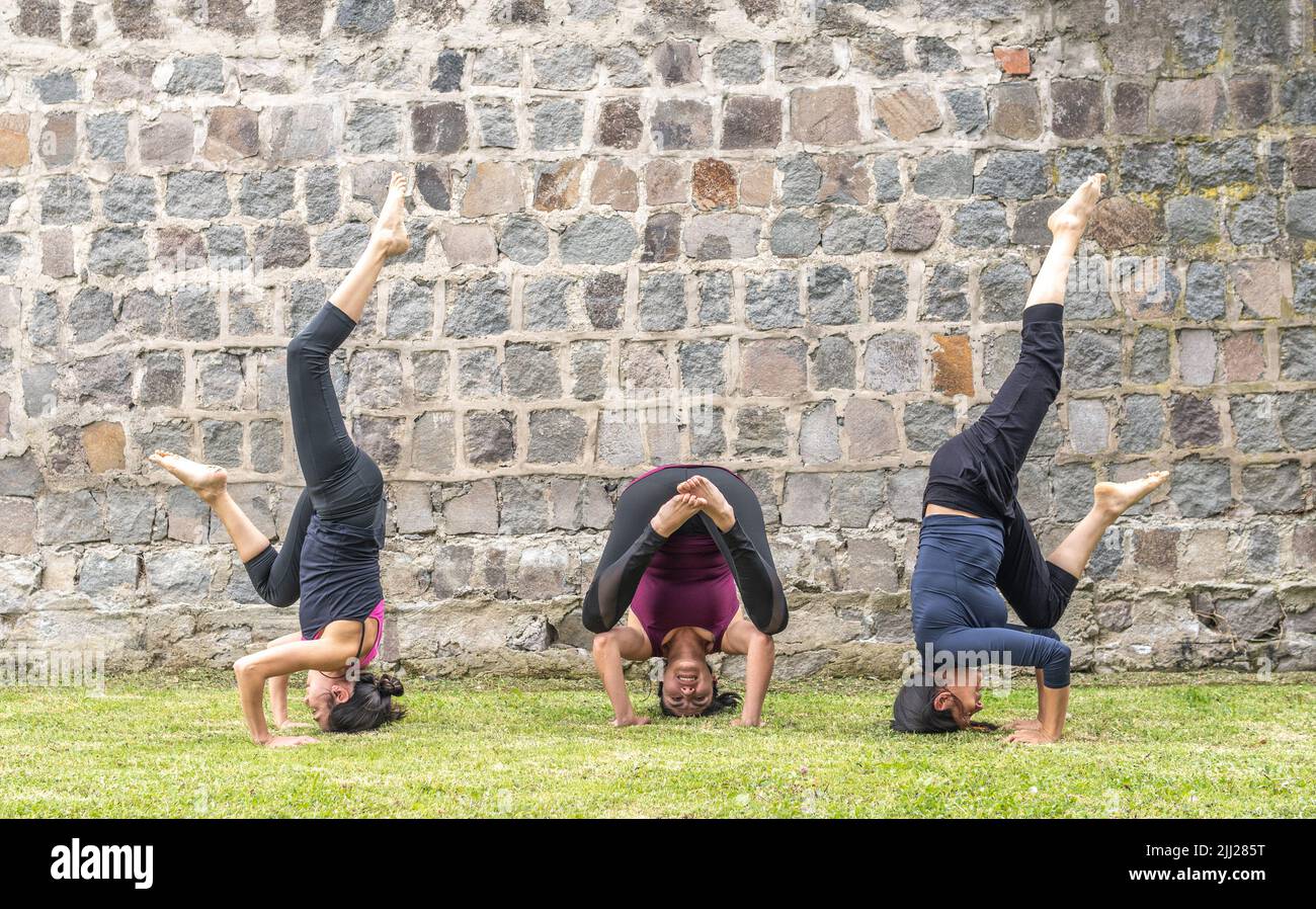 Women standing upside down on the grass practicing yoga in a park next to a stone wall Stock Photo