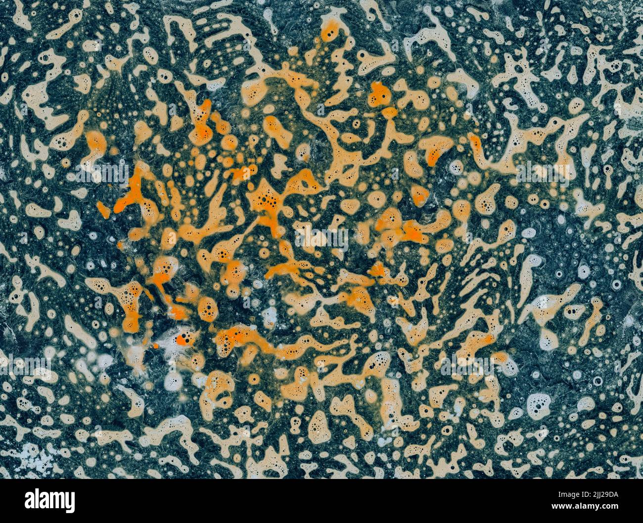 microbiology world creative art science Stock Photo - Alamy