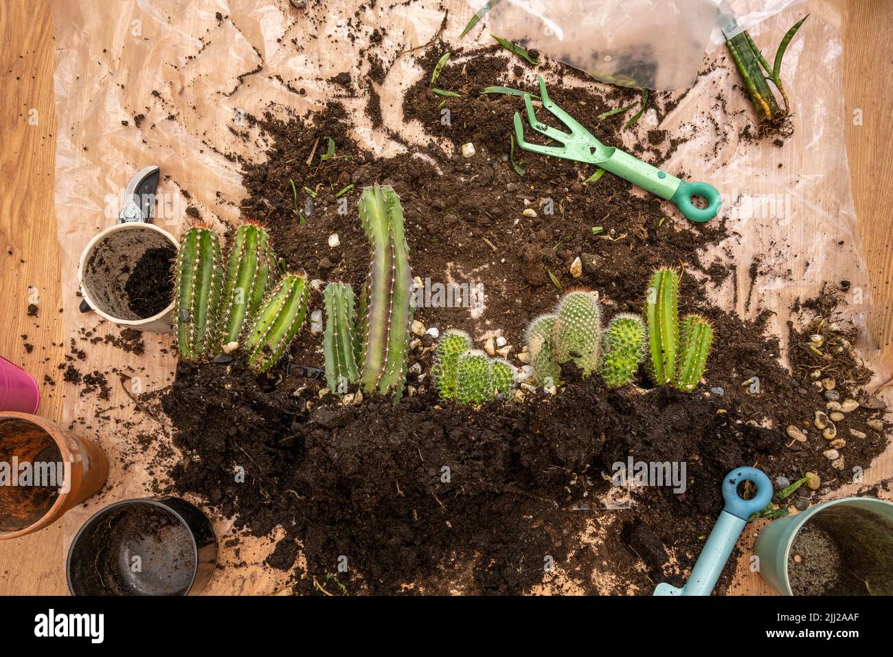 Plastic sheet garden hires stock photography and images Alamy