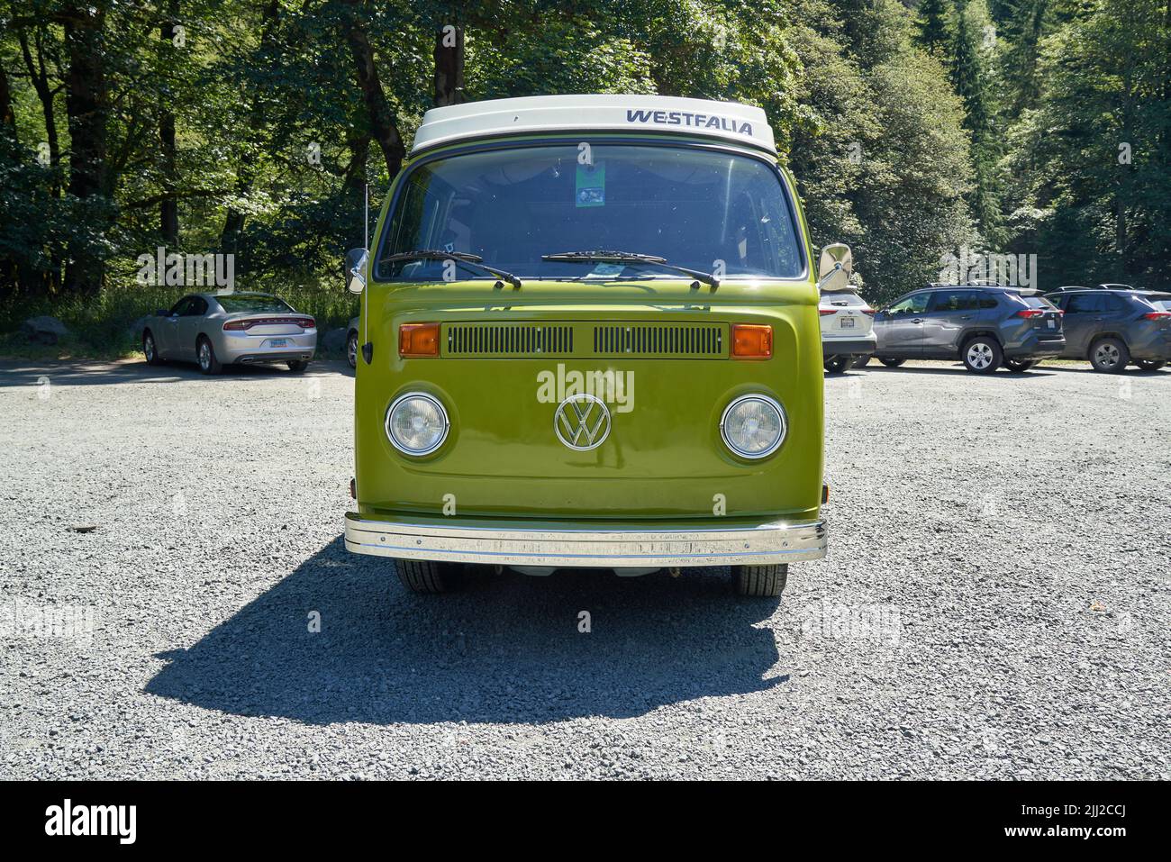 VW vintage van, lime green exterior, parked near Elwha River, Olympic  National Park, Port Angeles, Washington, USA Stock Photo - Alamy
