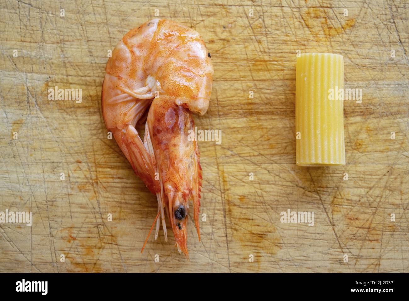 pasta with prawns flat lay of one prawn and one rigatone Stock Photo