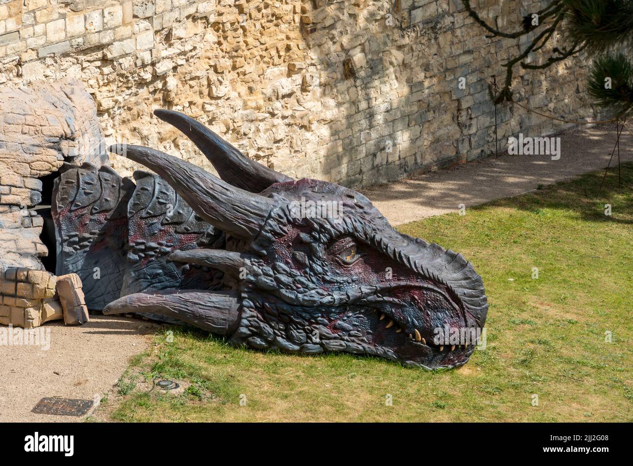 Lucy the dragons head, visiting Lincoln castle, Lincoln city 2022 Stock Photo