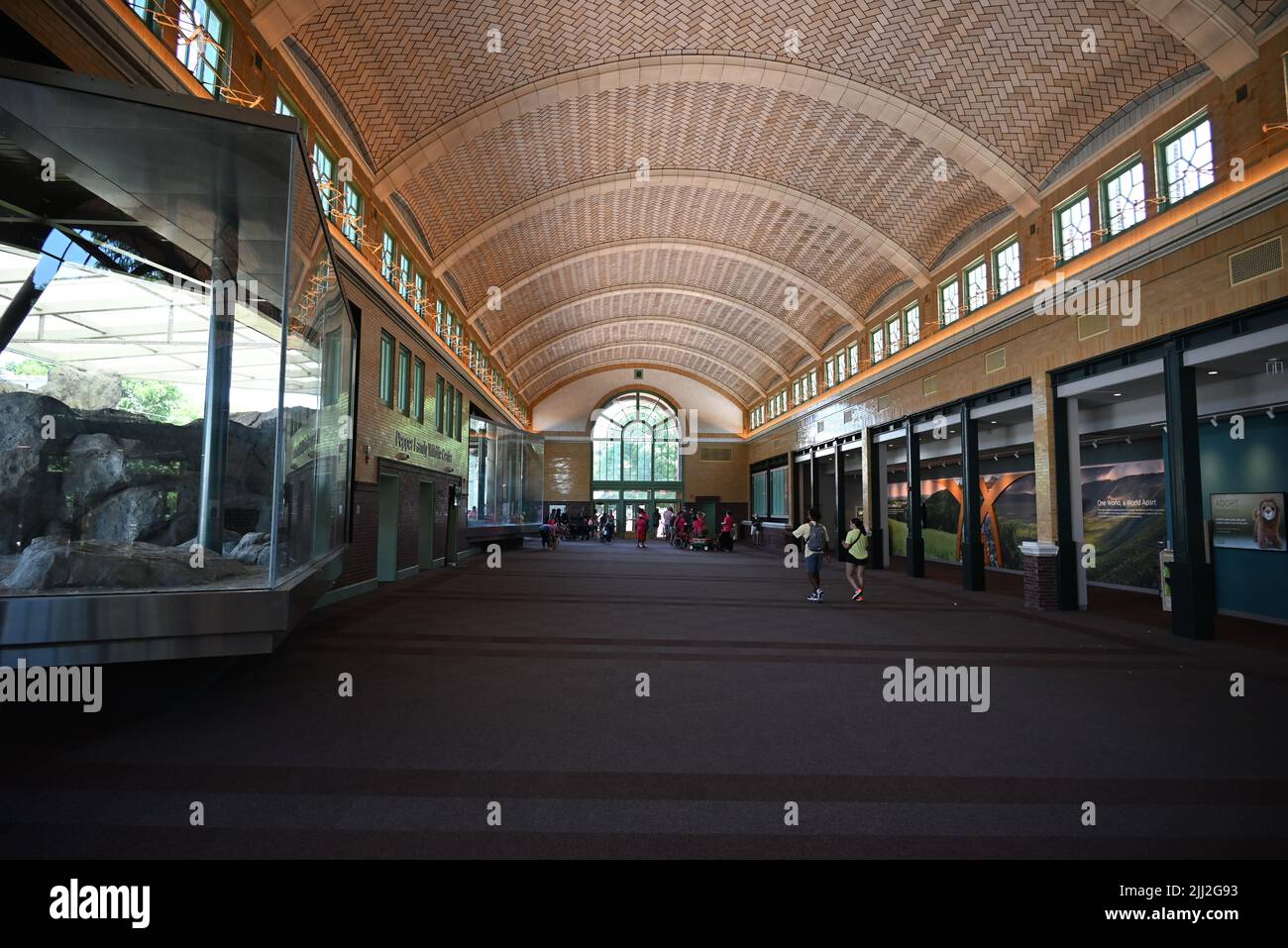 Inside the newly renovated Kovler Lion House at the Lincoln Park Zoo in Chicago. Stock Photo