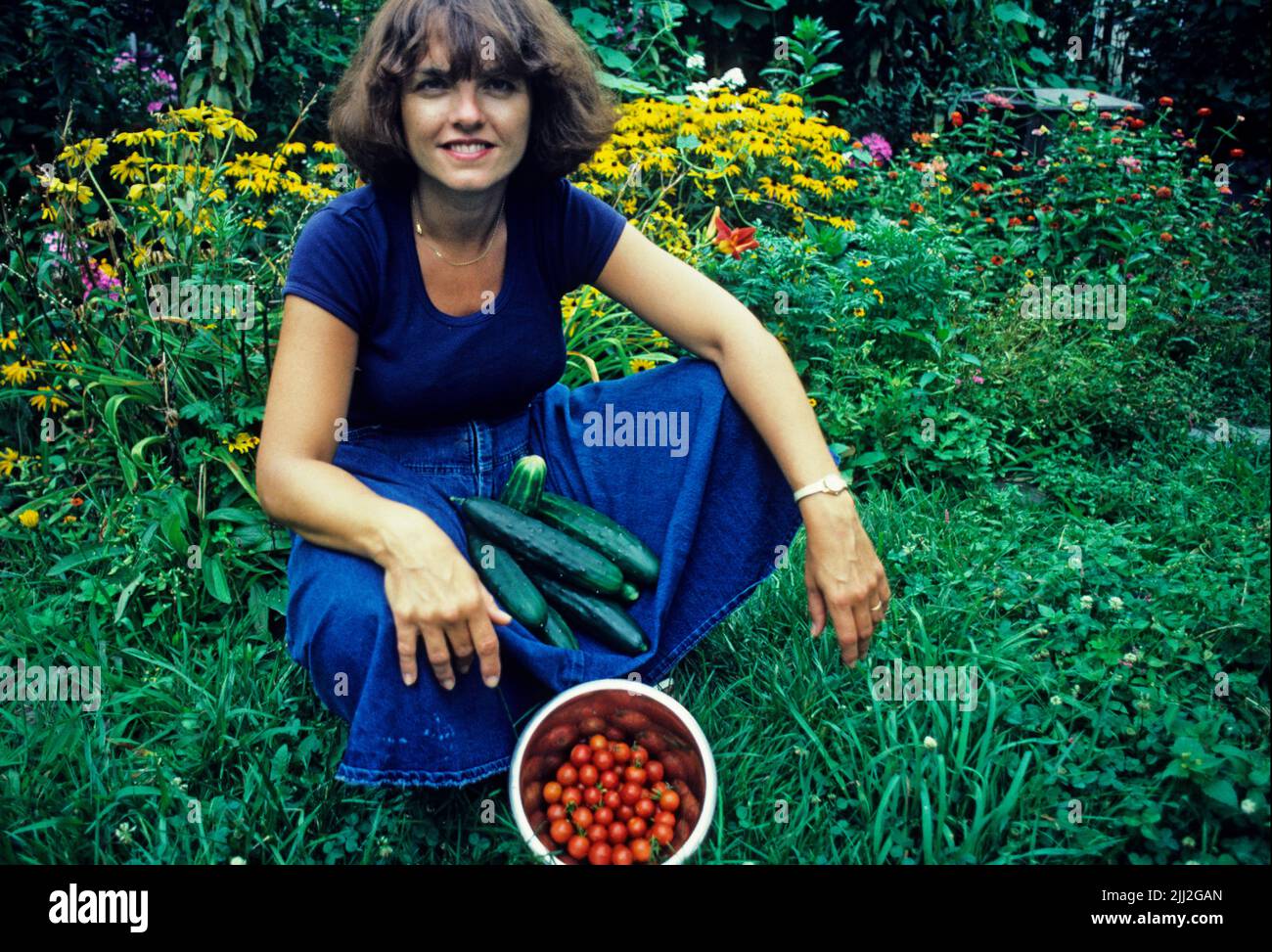 young woman with tomatoes in backyard garden setting, Stock Photo