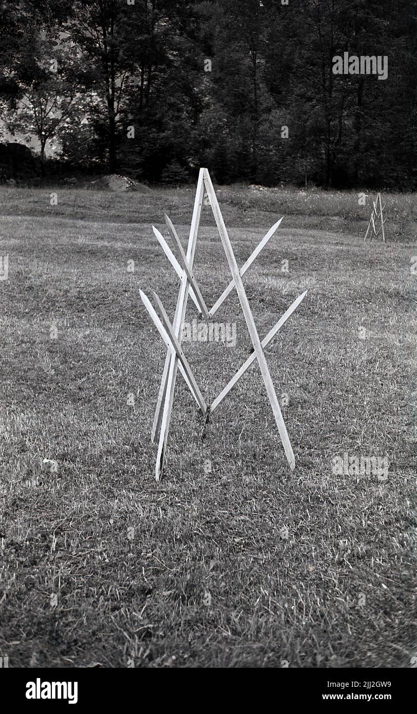 1960s, historical, sat outside in a field, wooden triangular frame structures with sharp pointed ends. Stock Photo